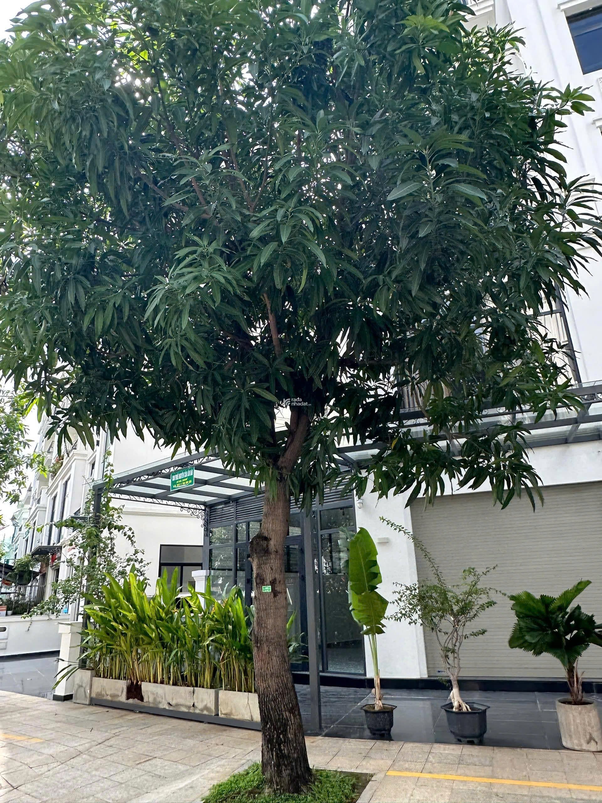 NHÀ PHỐ ĐÃ CÓ SỔ, DIỆN TÍCH LỚN, GIÁ BÁN NHANH CHỈ 21,5 TỶ