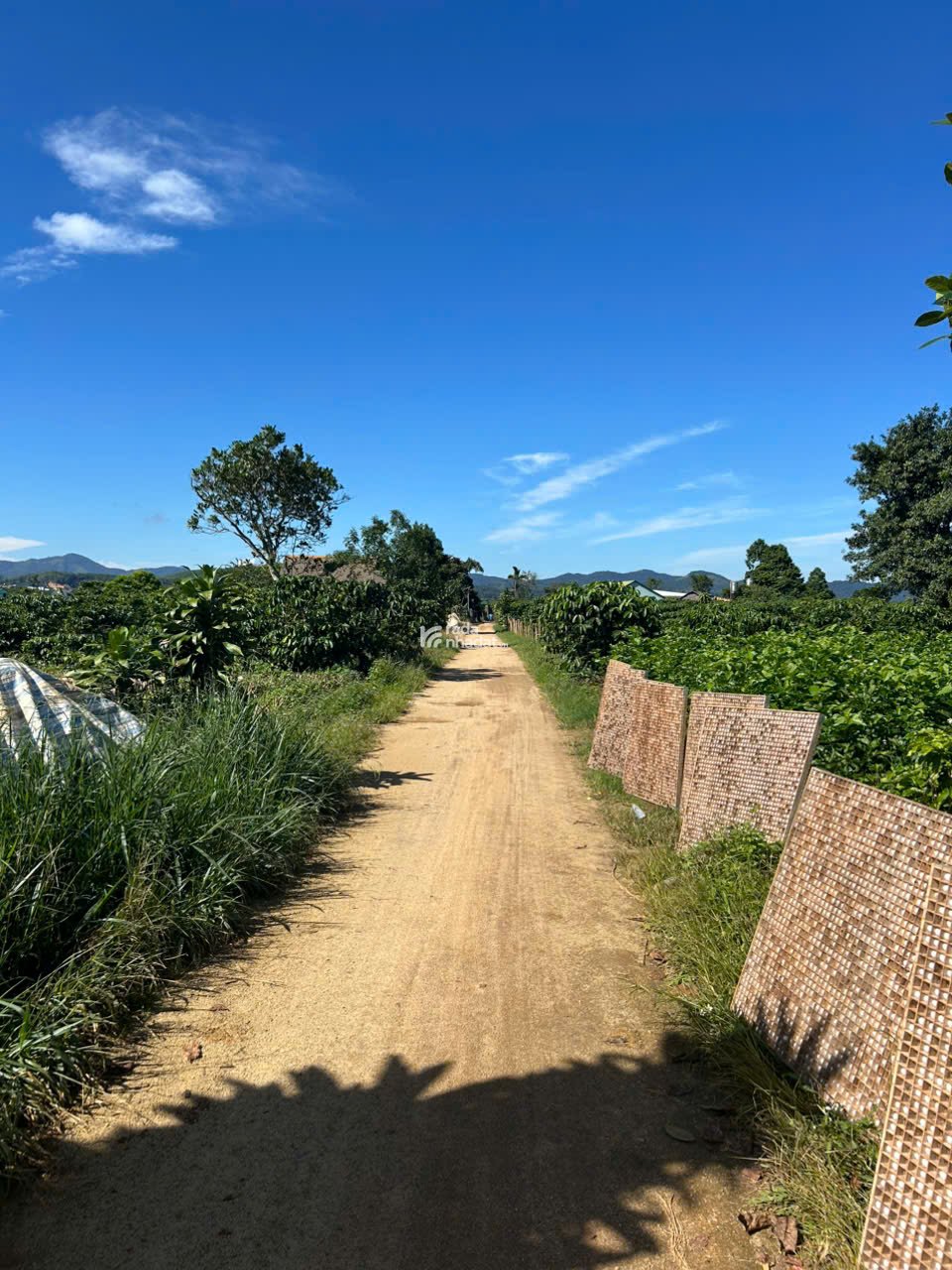 Đất nền nghỉ dưỡng gần Đồi Chè Tâm Châu Bảo Lộc giá tốt nhất khu vực chỉ 6 triệu/m2