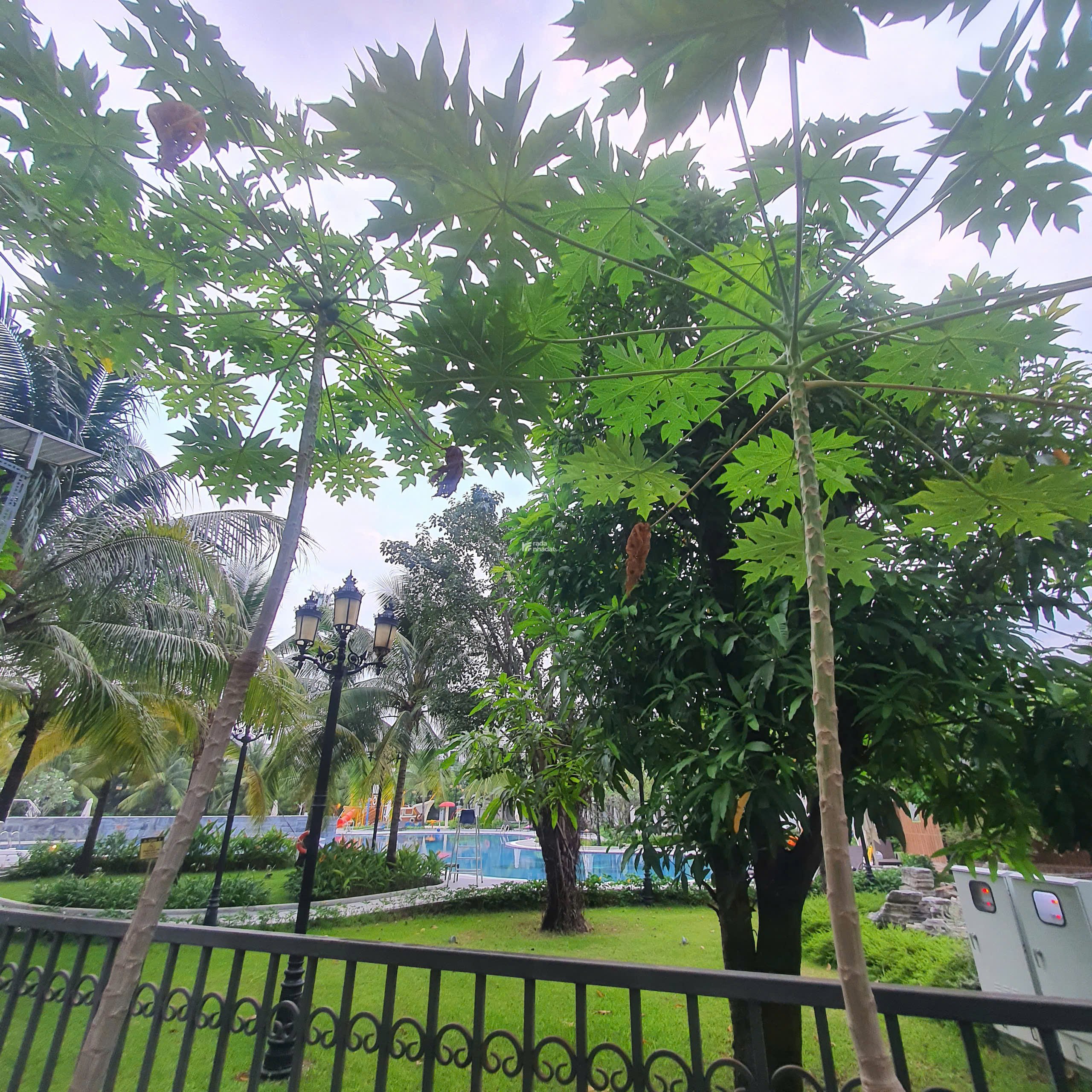 TOP 1 NHÀ PHỐ SẺ KHE DIỆN TÍCH LỚN 200m2,  HAI TẦM VIEW CỰC HIẾM