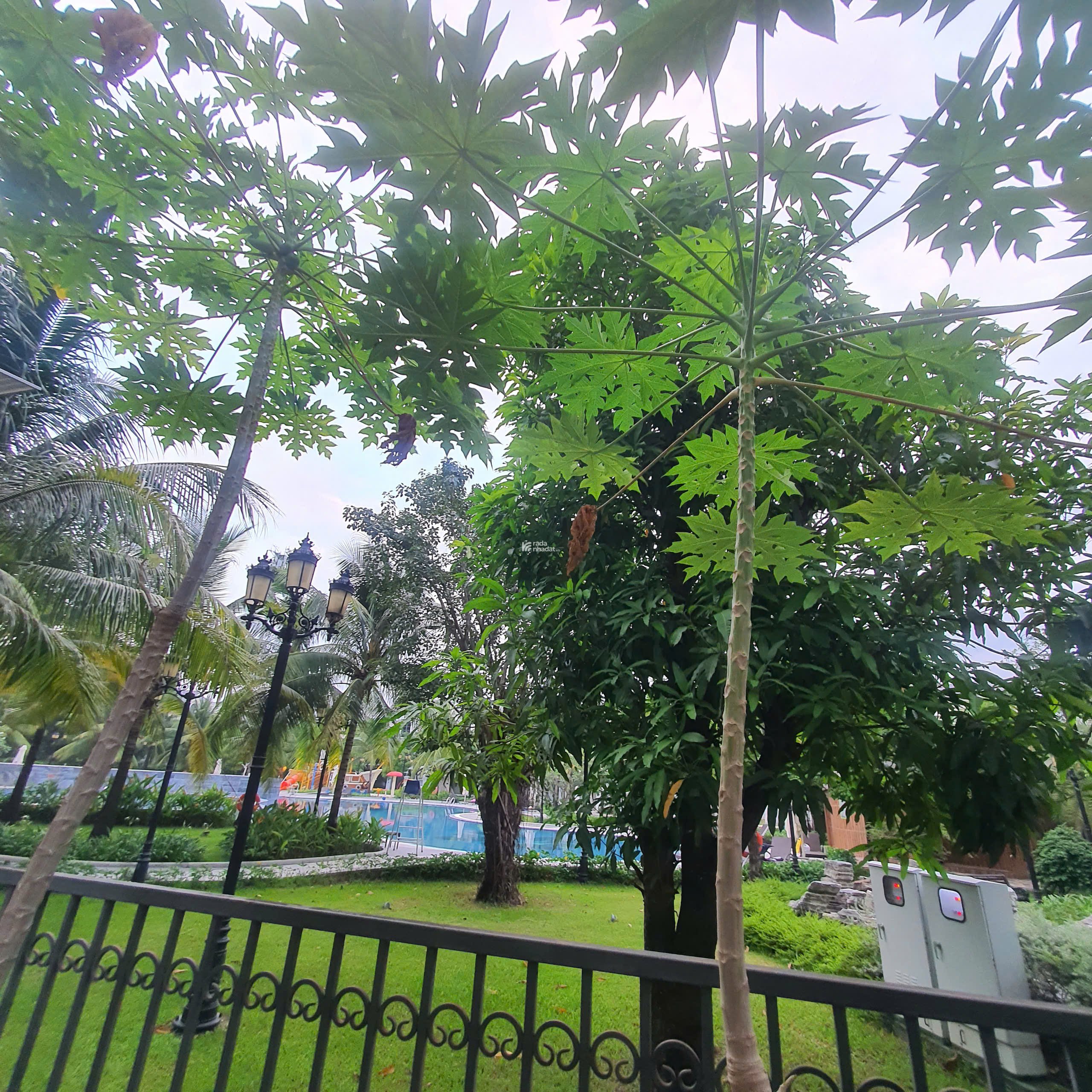 TOP 1 NHÀ PHỐ SẺ KHE DIỆN TÍCH LỚN 200m2,  HAI TẦM VIEW CỰC HIẾM