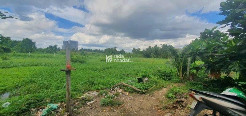 BÁN ĐẤT PHƯỜNG TAM BÌNH DT GẦN 2000 M2 GIÁ CHỈ 5 TỶ 8