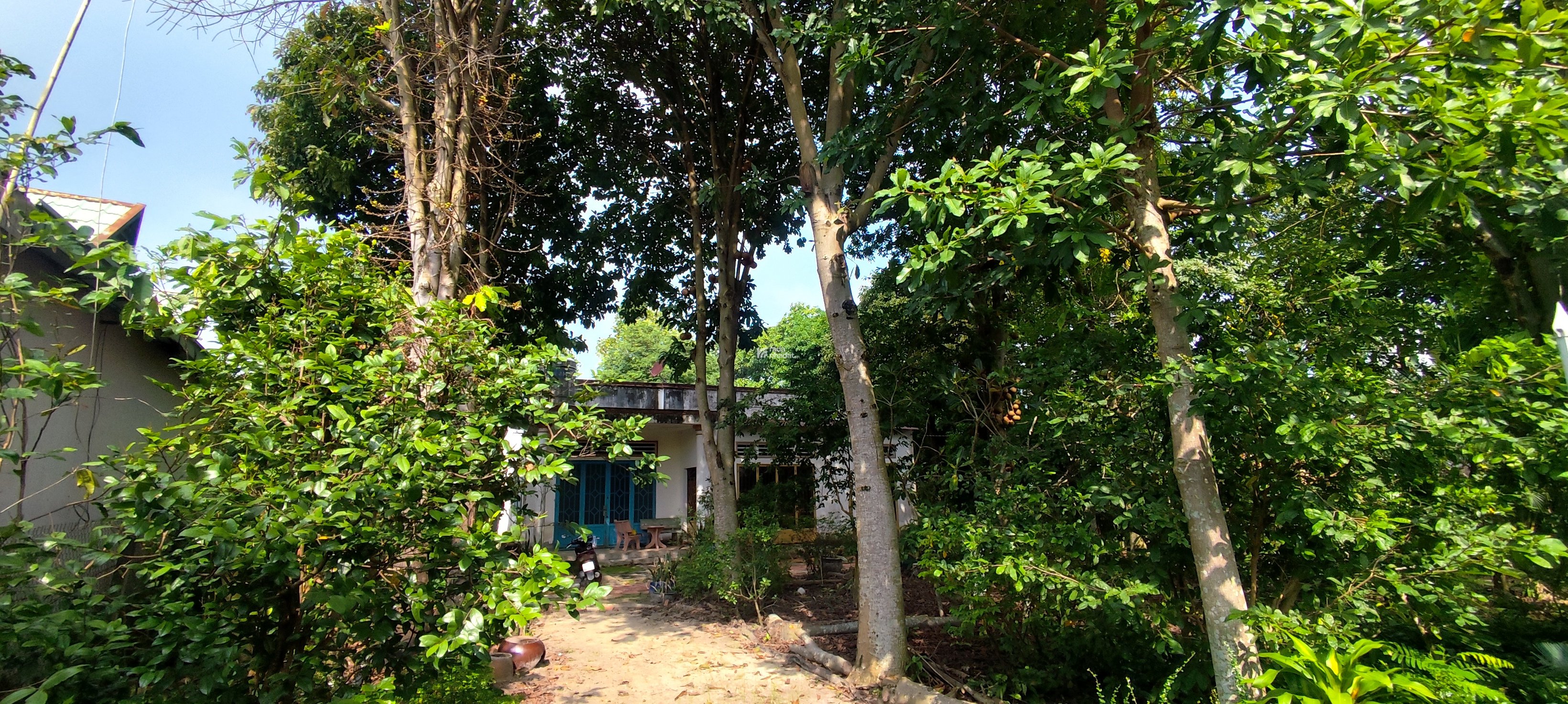 Cần bán đất củ chi diện tích lớn