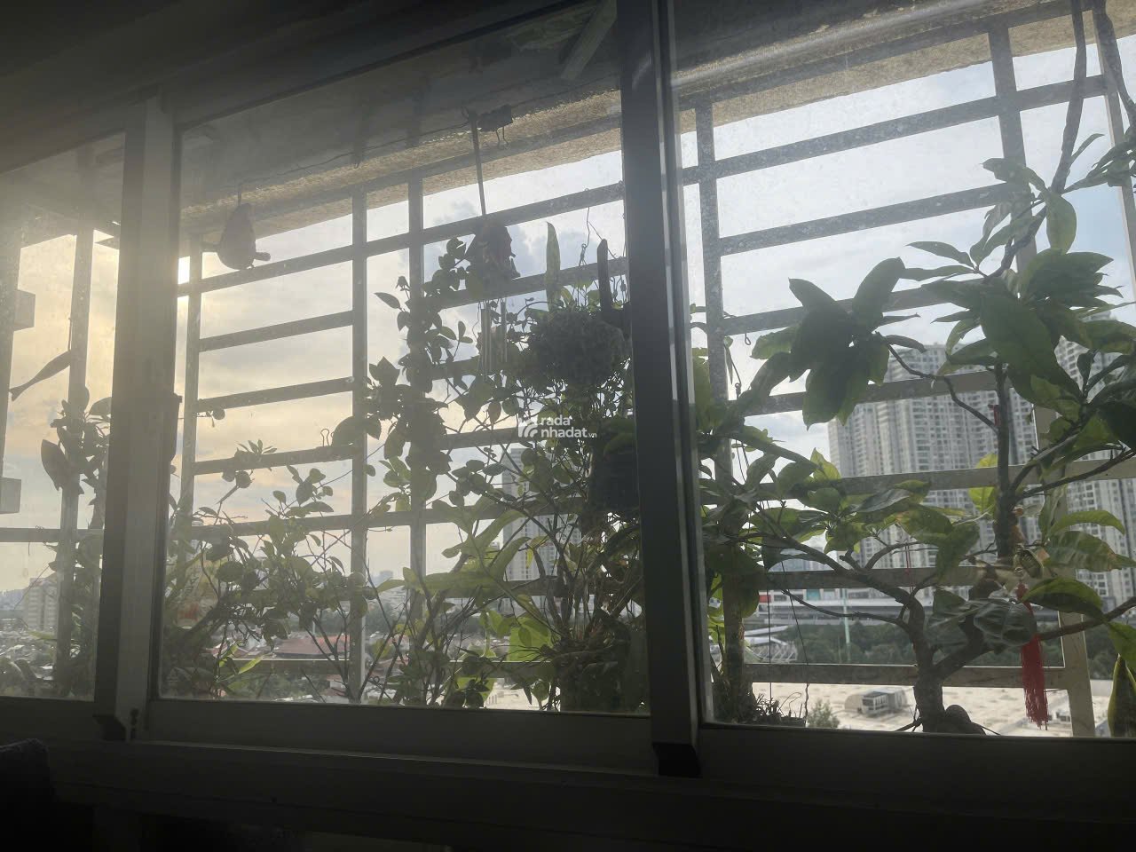 Bán căn hộ cao ốc An Lộc 2, phường An Phú Q2, 62m2, 2PN, sổ hồng giá 3,4 tỷ
