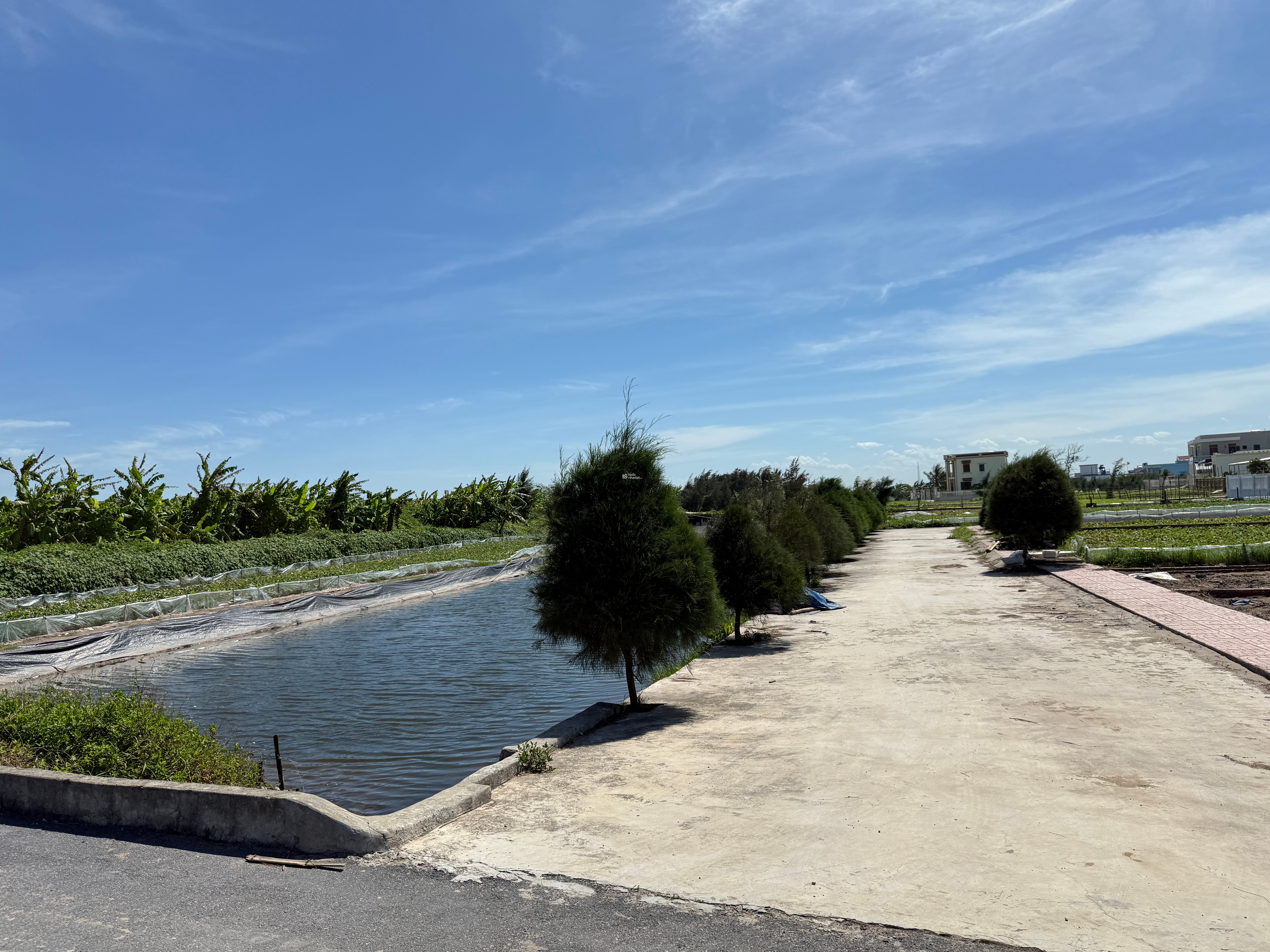    Bán lô đất Bãi Tắm 2  Quất Lâm, view hồ siêu đẹp 