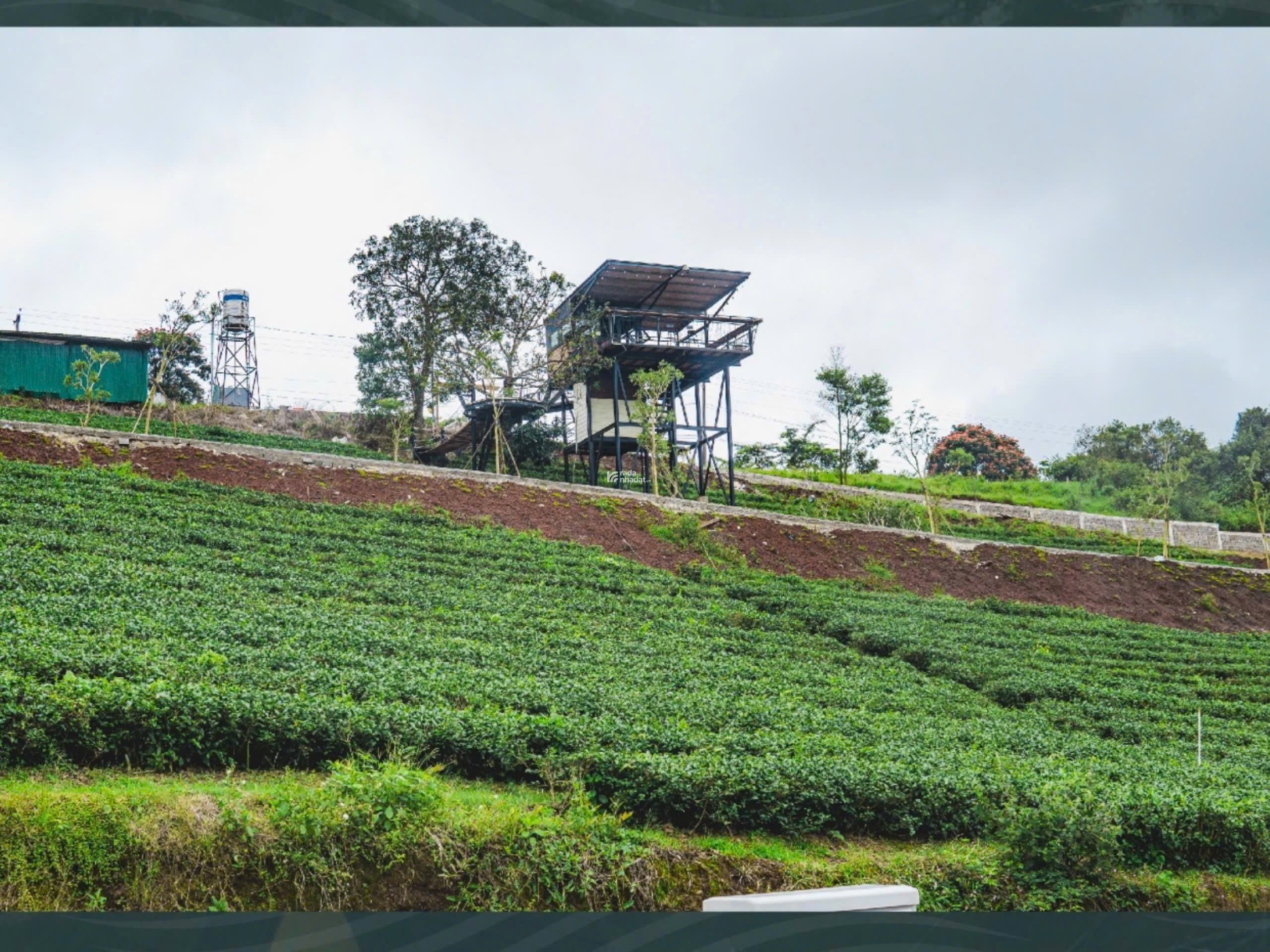 ĐẤT TRUNG TÂM BẢO LỘC - FULL THỔ CƯ - HẠ TẦNG HOÀN THIỆN