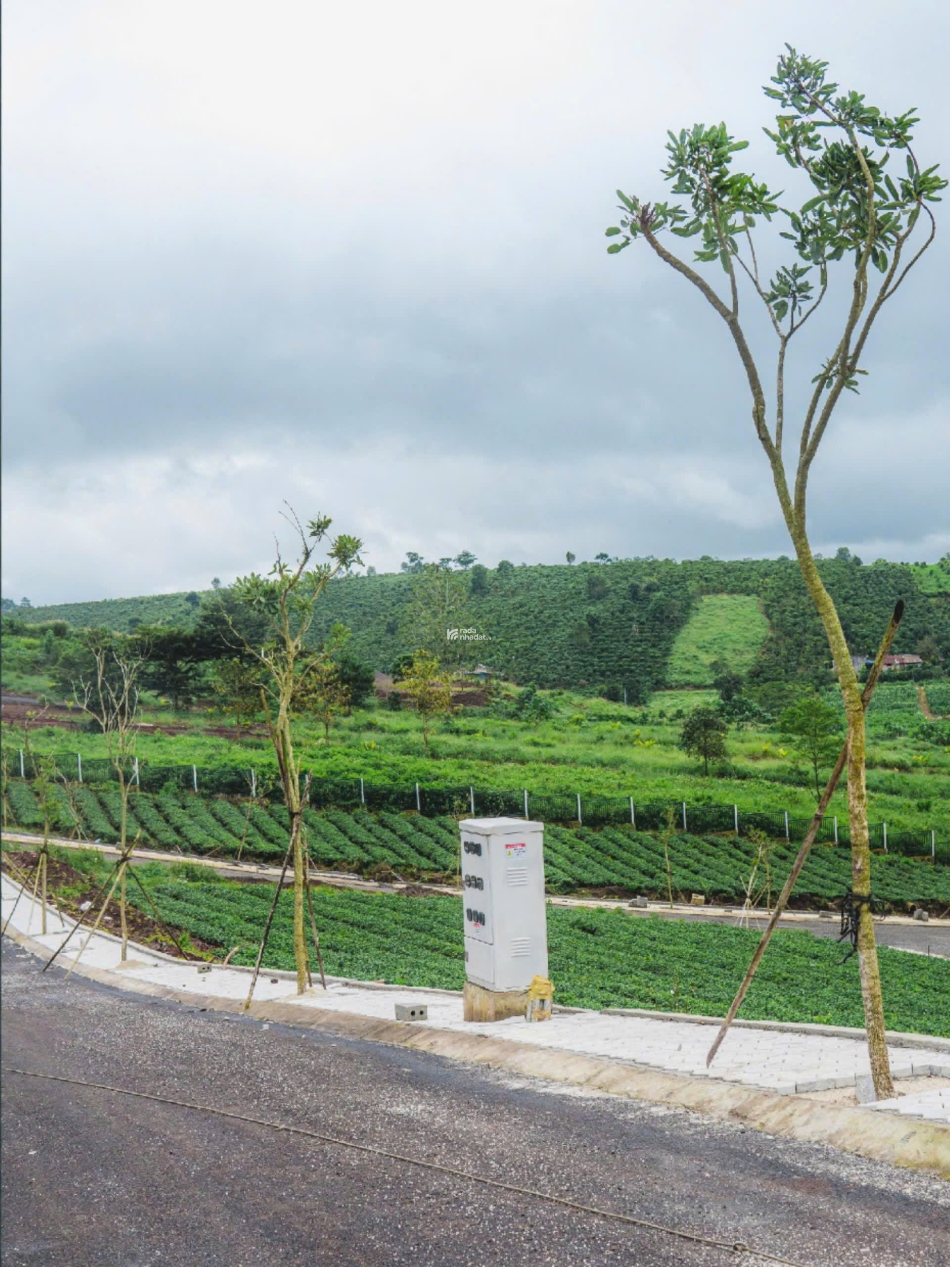 ĐẤT TRUNG TÂM BẢO LỘC - FULL THỔ CƯ - HẠ TẦNG HOÀN THIỆN