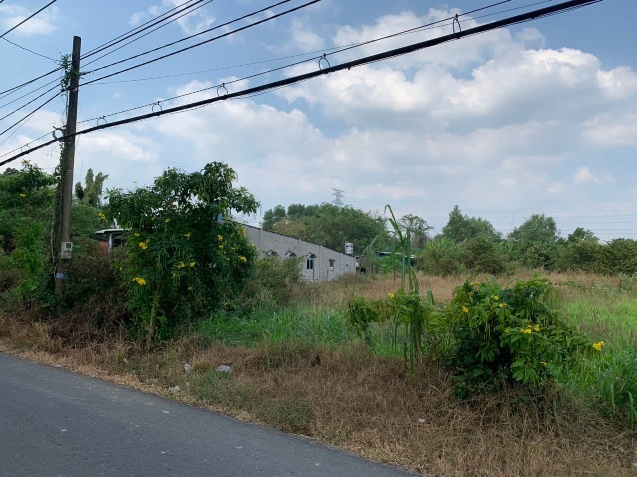 Giảm 500tr, bán 200m2 ( 5x40) mặt tiền đường Nhuận Đức, Củ Chi, 3 tỷ còn 2.5 tỷ