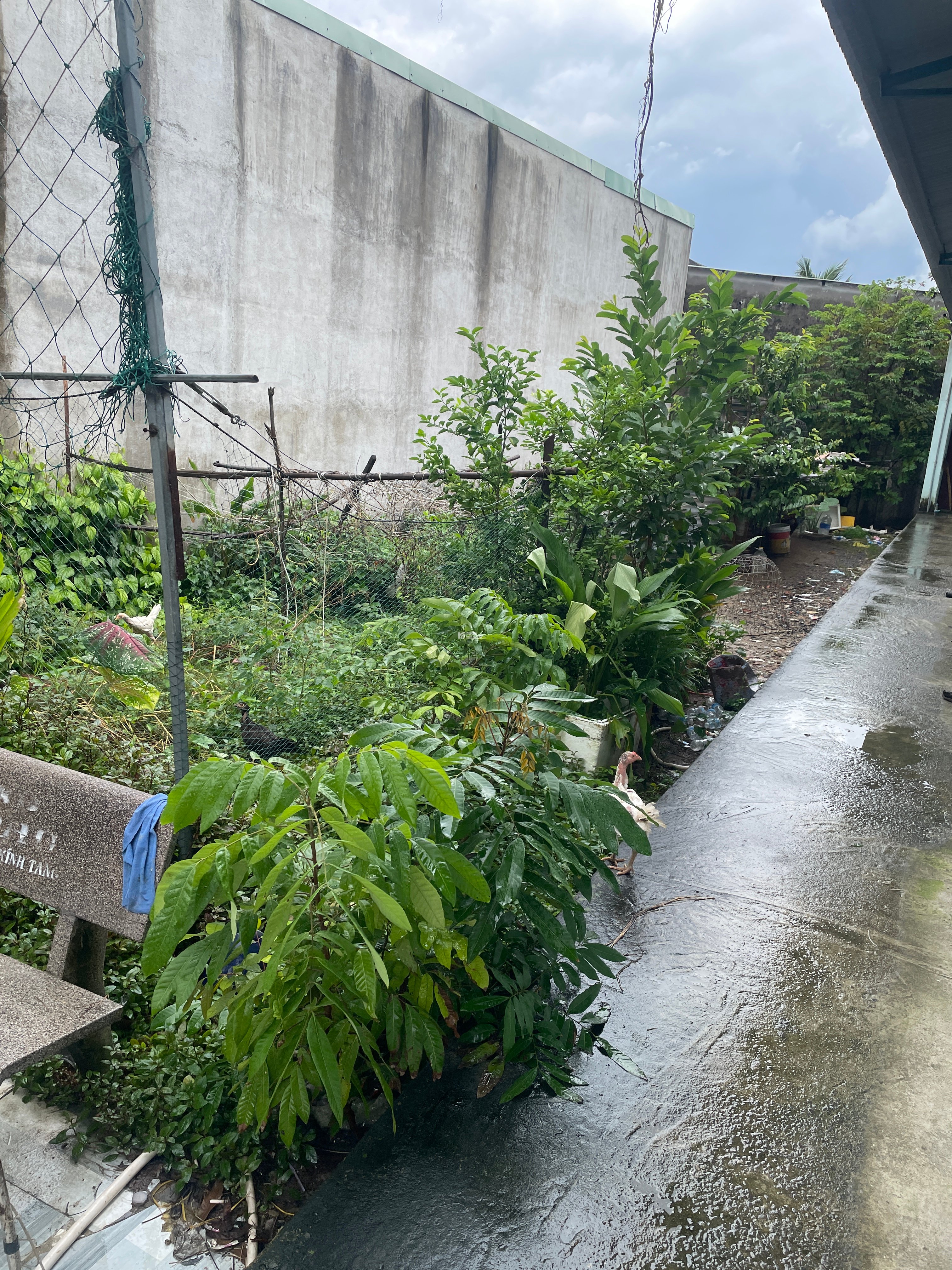 đất chính chủ full thổ cư. xã nhơn trạch đồng nai