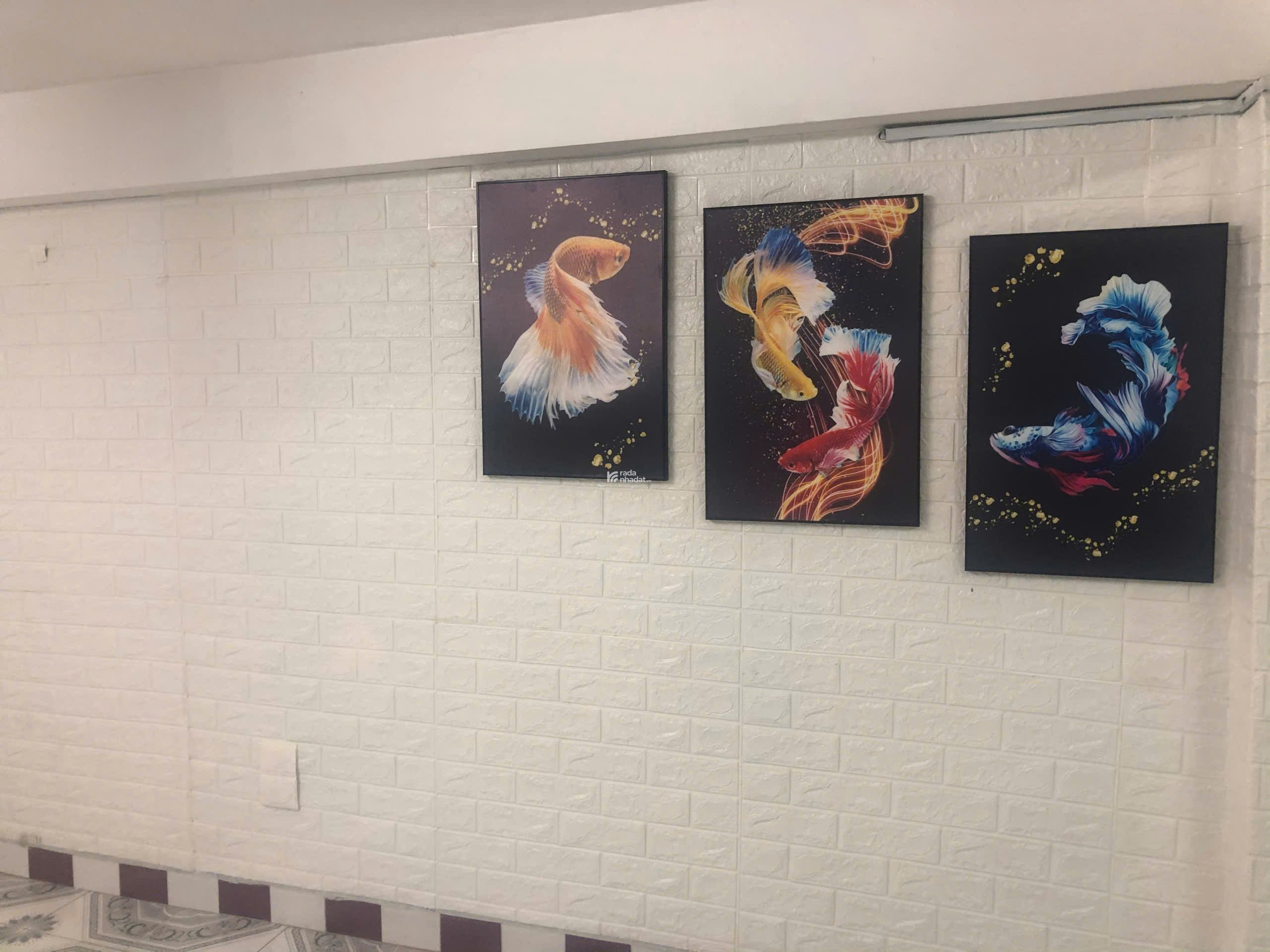 Bán nhà khu Phan Phú Tiên Quận 5 (giá 19.5 tỷ)