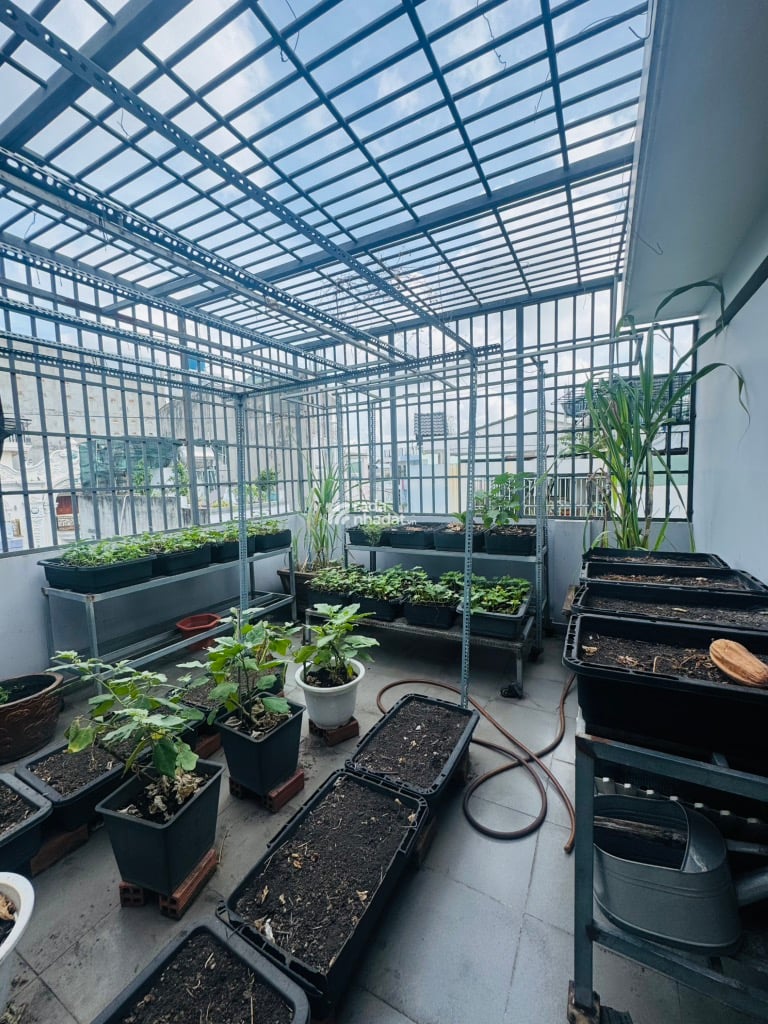 MẶT TIỀN KINH DOANH ĐỈNH 16M LUÔN LỀ NGAY TRẦN HƯNG ĐẠO & LUỸ BÁN BÍCH - THIẾT KẾ LỆCH TẦNG HIỆN