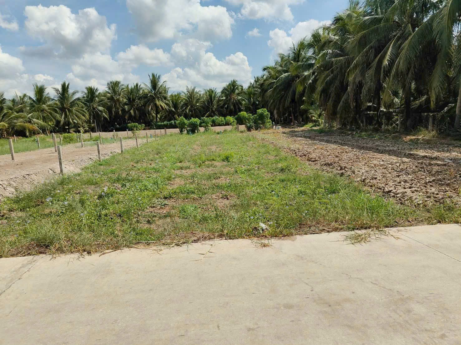 ĐẤT NỀN ĐẸP GIÁ RẼ ẤP BÌNH NINH, HUYỆN CHỢ GẠO, TỈNH TIỀN GIANG CŨ ( TỈNH ĐỒNG THẤP MỚI)