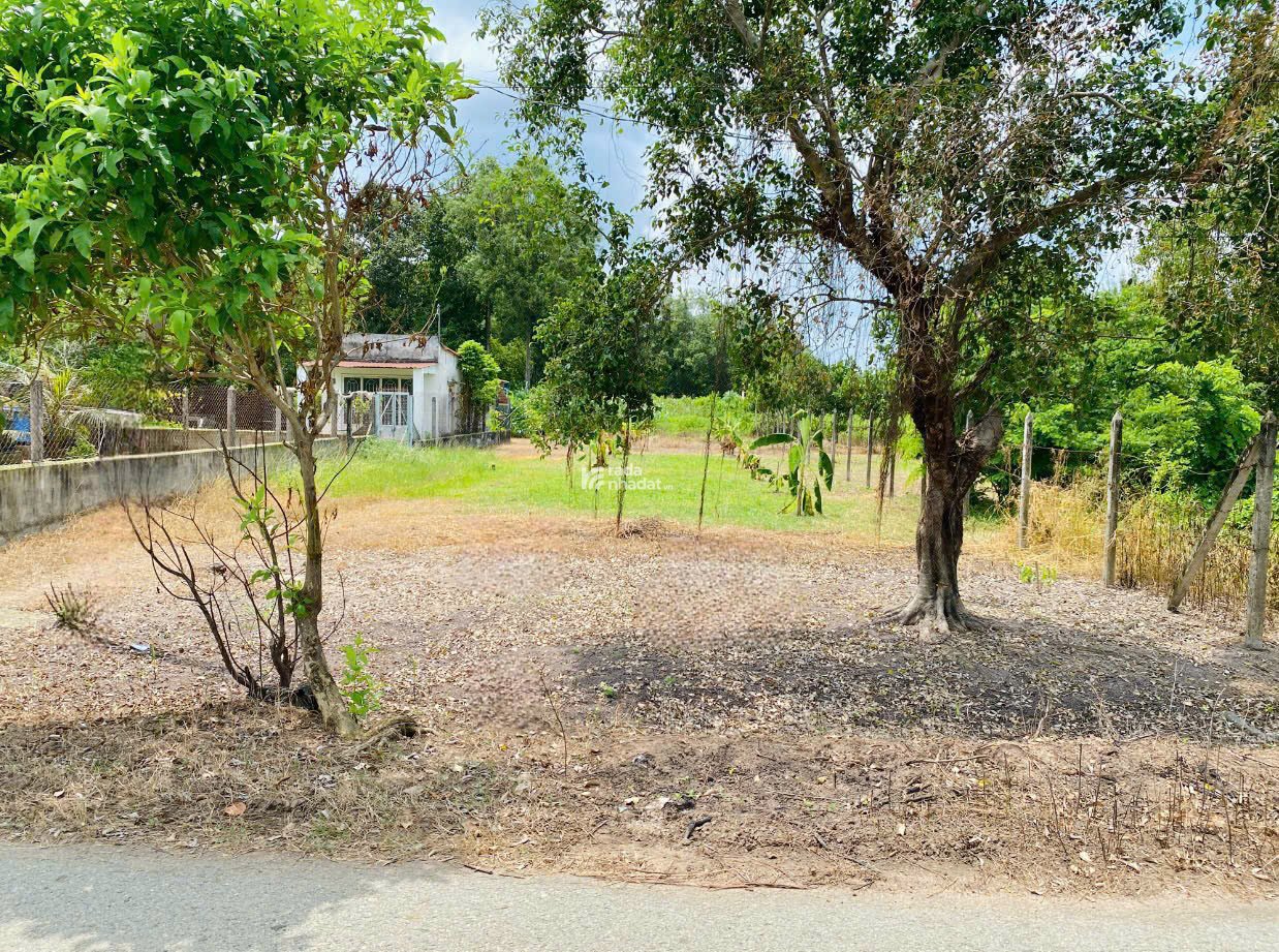 Gia đình chính chủ cần bán gấp lô đất ở Củ Chi 590trieu