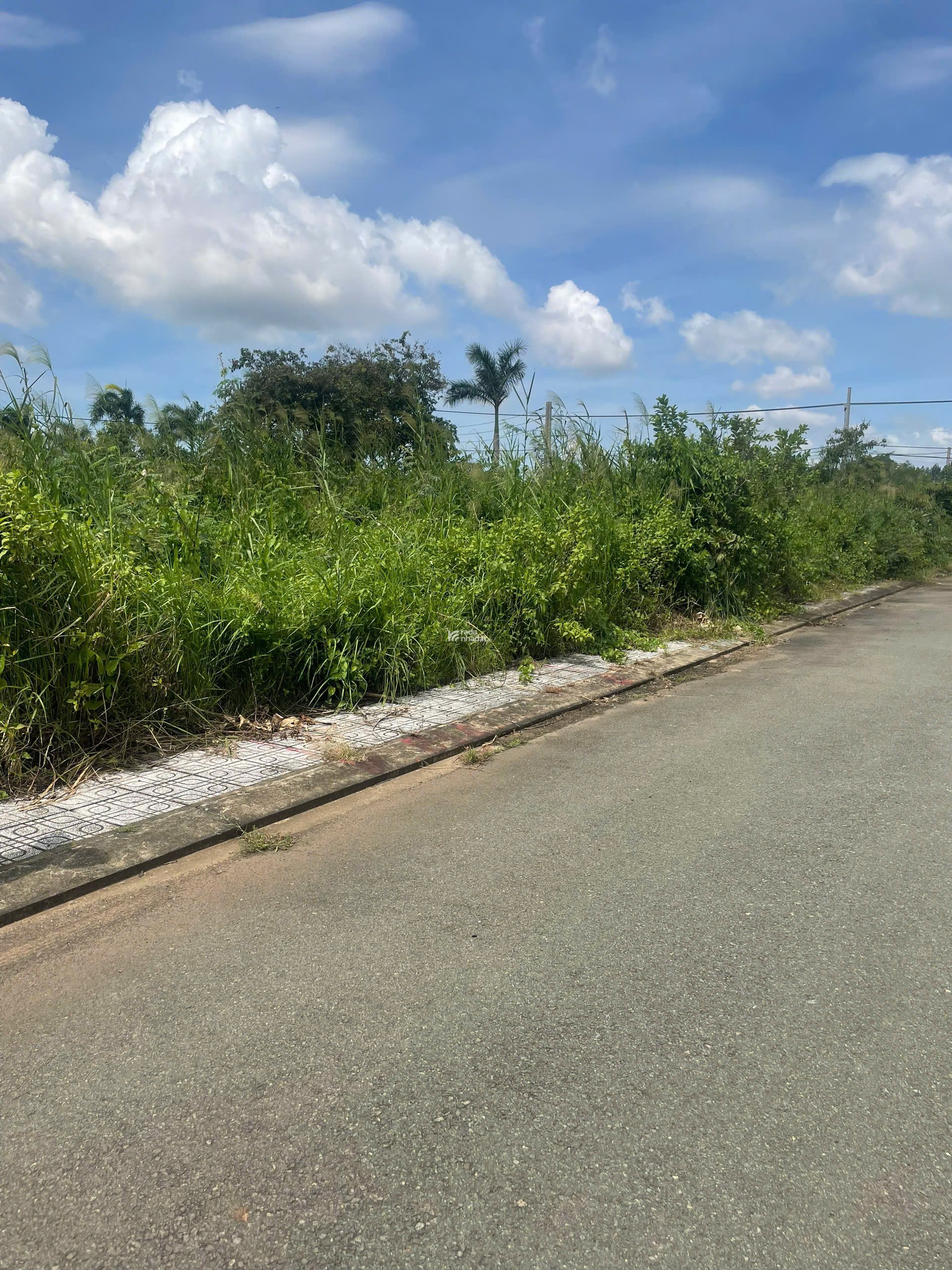 Bán đất giá rẻ, Hàng nhỏ, dễ mua, dễ bán. 50,3m Long Phước, Q9. 1950tr