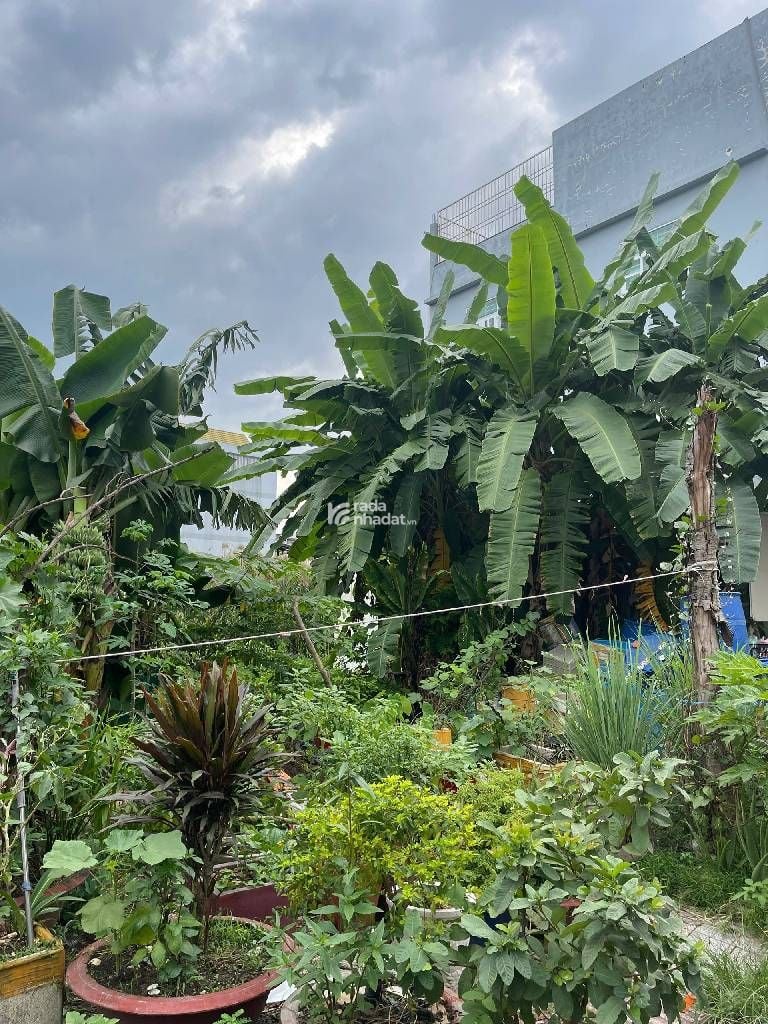 BÁN ĐẤT KẾ CHỢ BÌNH ĐIỀN QUẬN 8 140M2 9.X TỶ 7.5X20M BÌNH HƯNG HXH 10M