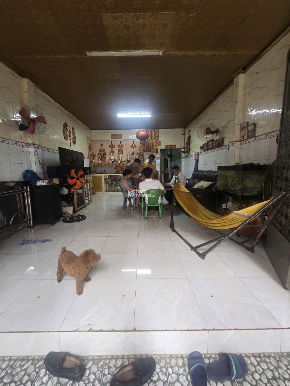 Chính chủ bán gấp! Nhà cũ tiện xây mới, HXH 8m Khuông Việt, 74m2, chỉ 8.1 tỷ TL