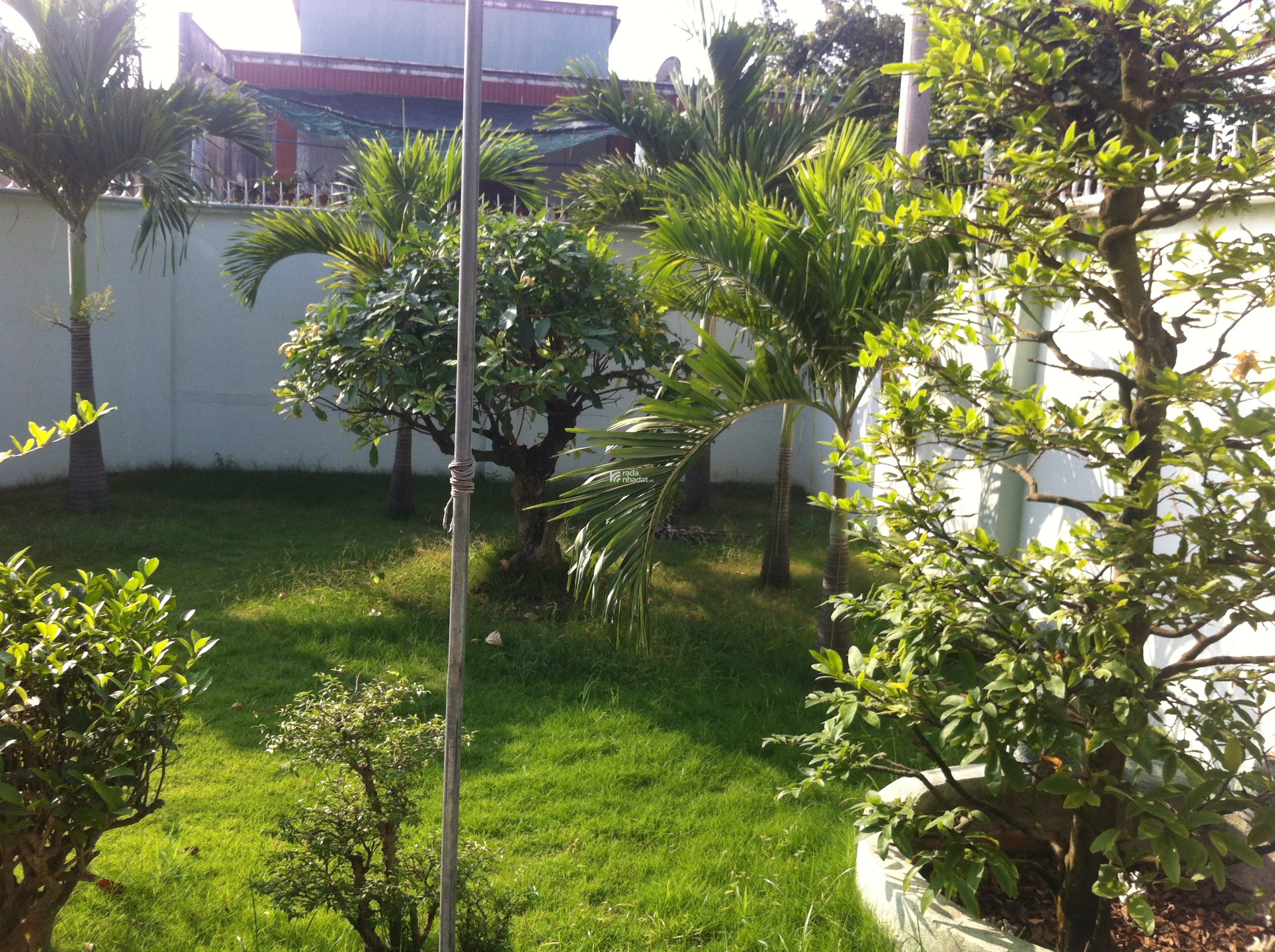 Cho thuê nhà vườn chính chủ 450m2 giá rẻ