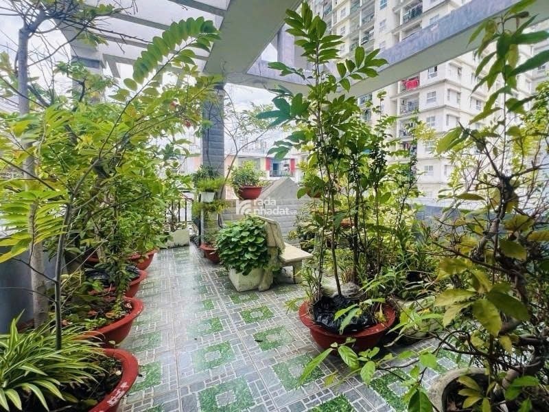 SIÊU PHẨM LÊ THÚC HOẠCH TÂN PHÚ - HẺM XE TẢI -DT: 4*12M -GIÁ 8.7 TỶ TL