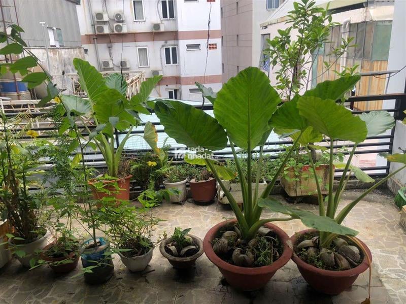 HẺMXE HƠI TRƯỜNG SƠN GẦN CÔNG VIÊN HOÀNG VĂN THỤ