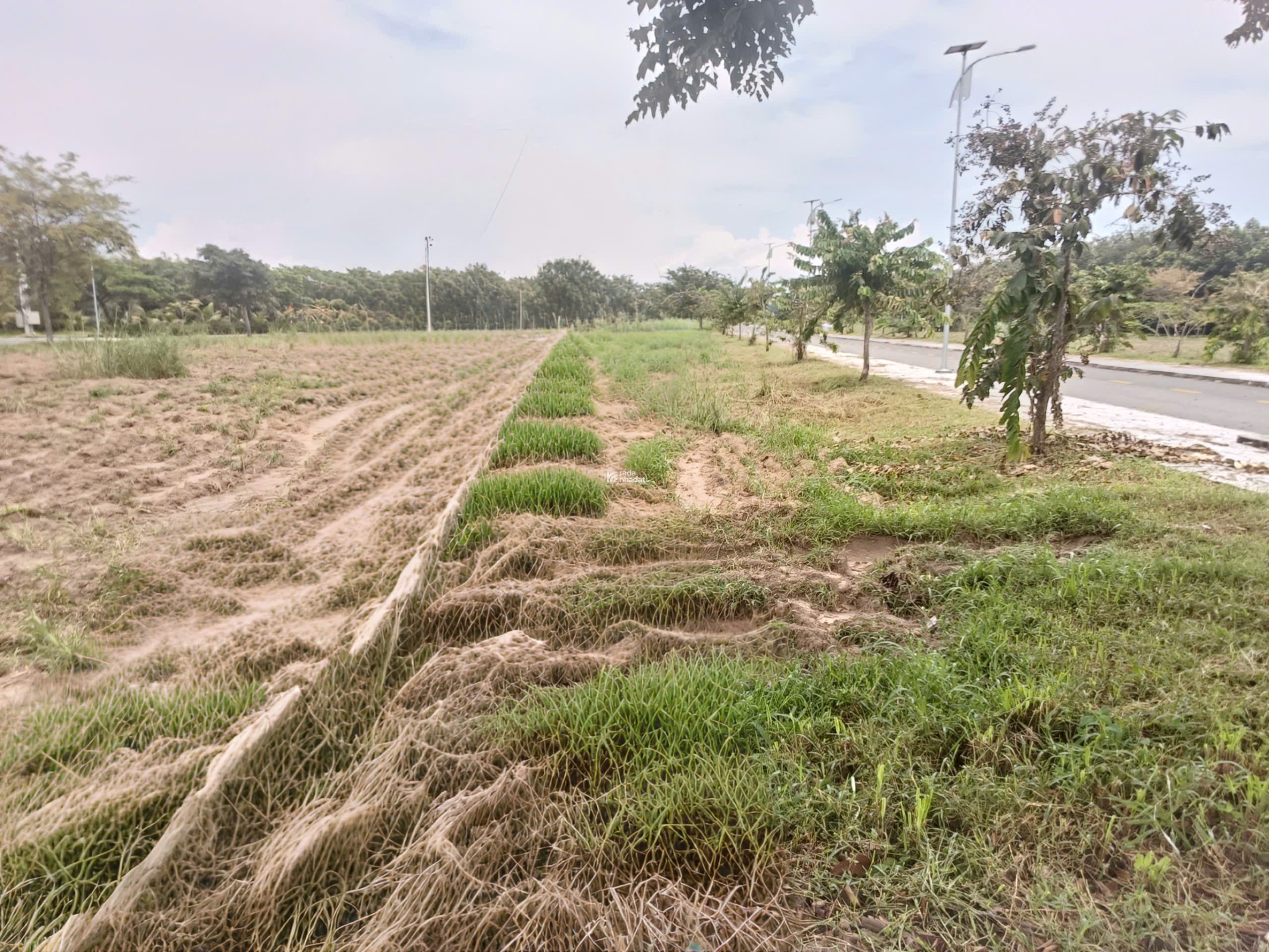 Đất có sổ hồng , DT : 519 lộ giới 13m giá 1,2T 