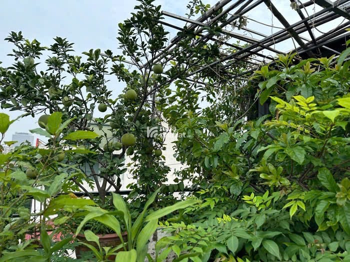 MẶT PHỐ - MẶT HỒ - 7 TẦNG THANG MÁY - KD ĐỈNH - Ở TUYỆT VỜI! - 39.5 tỷ -57m2