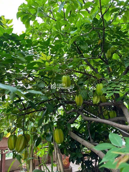 MẶT PHỐ - MẶT HỒ - 7 TẦNG THANG MÁY - KD ĐỈNH - Ở TUYỆT VỜI! - 39.5 tỷ -57m2
