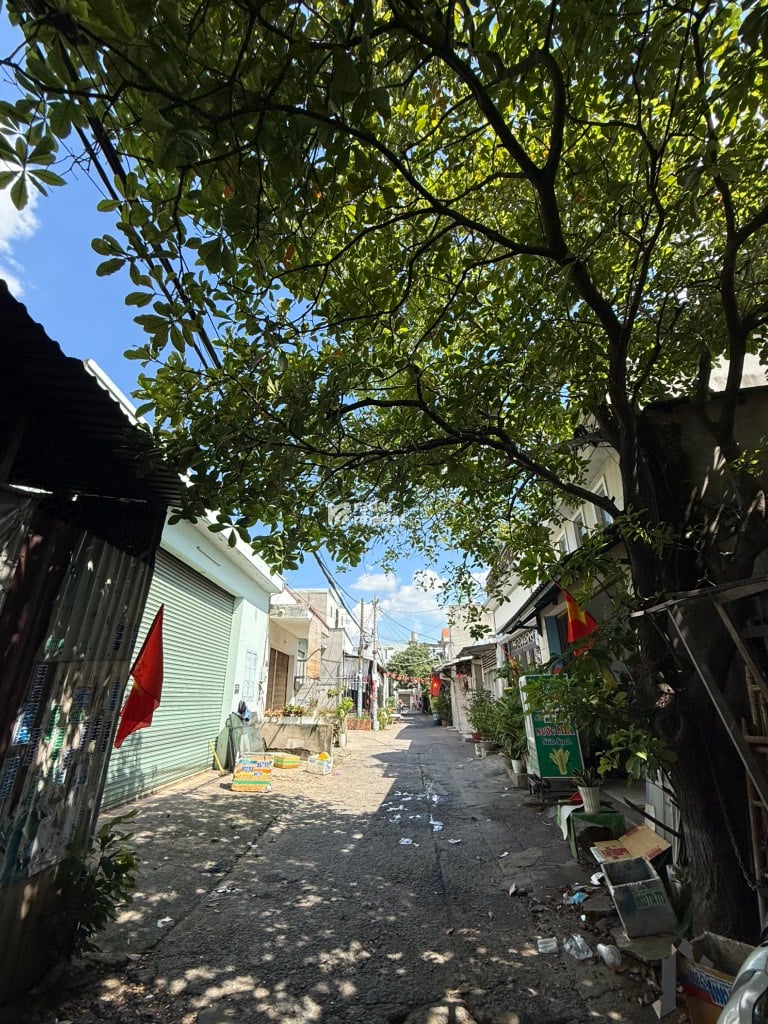 BÁN ĐẤT TẶNG NHÀ NGUYỄN THỊ TÚ 164M2 9.4 TỶ 10X16M HẺM XE TẢI 1 CĂN RA MẶT TIỀN 