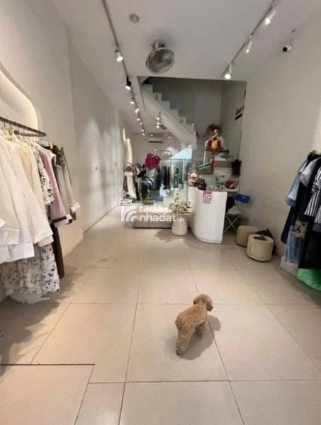 SIÊU PHẨM ĐỐNG ĐA, MẶT PHỐ VIP, VỈA HÈ RỘNG, KINH DOANH BẤT CHẤP, HIẾM NHÀ BÁN