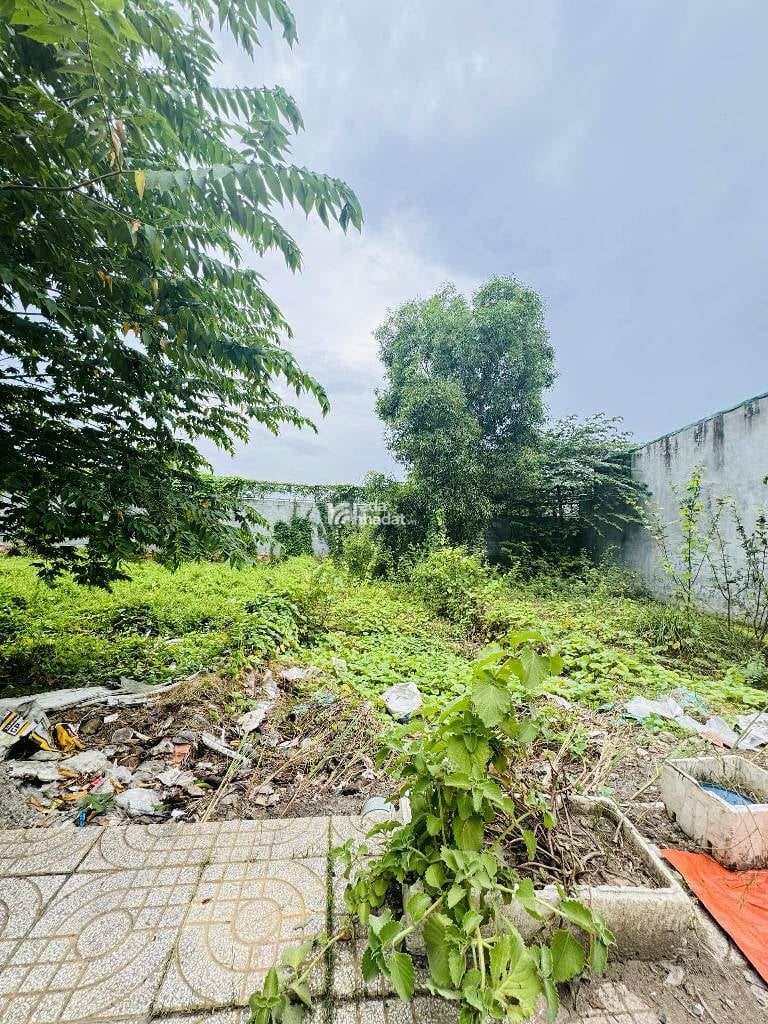 BÁN ĐẤT HỒ VĂN LONG, TÂN TẠO, BÌNH TÂN