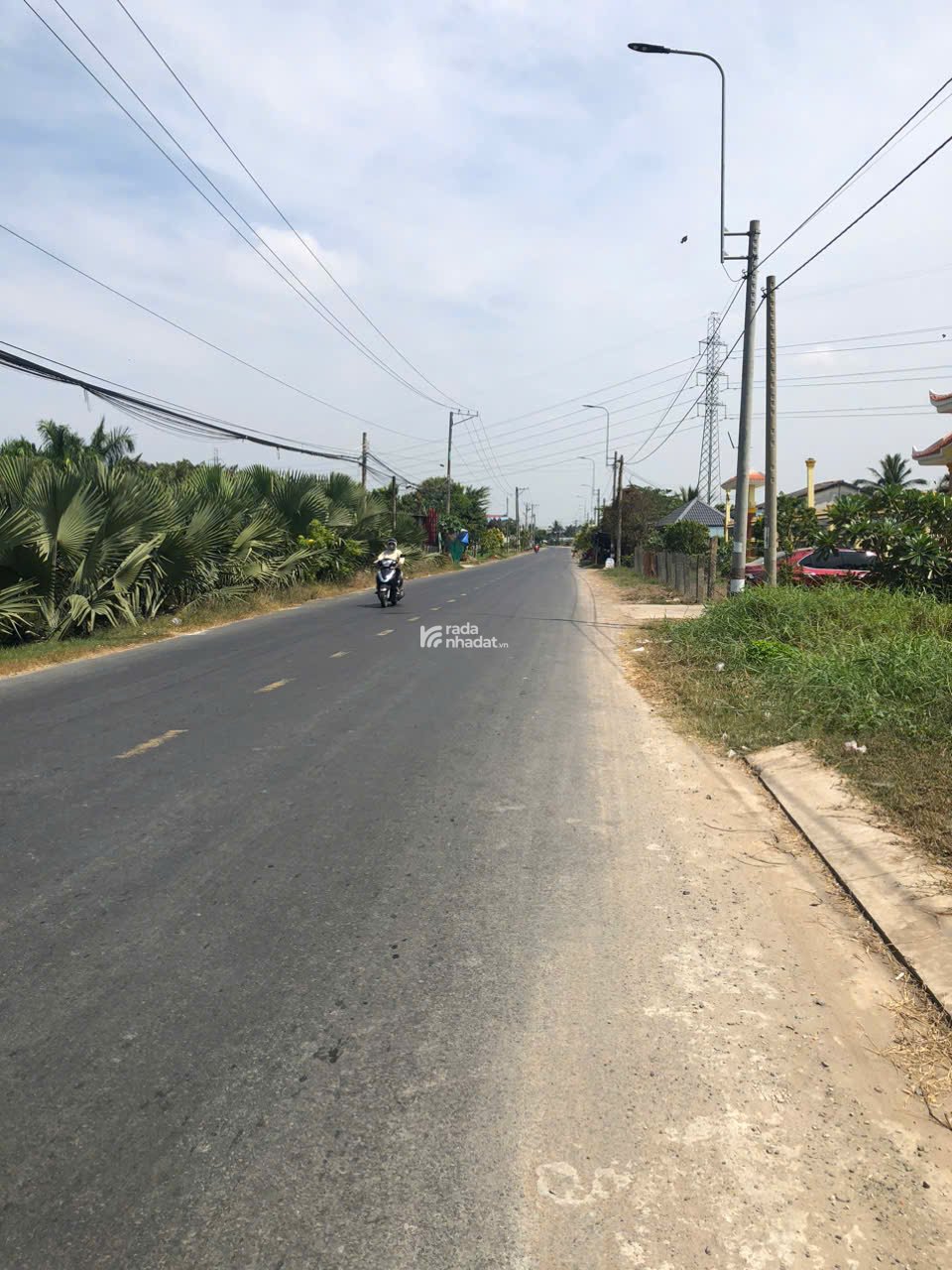 ĐẤT FULL THỔ CƯ 6X50 GẦN QUỐC LỘ 1 XÃ TÂN BÌNH TÂN TRỤ ĐƯỜNG TỈNH LỘ 12M NHIK 2 TỶ 