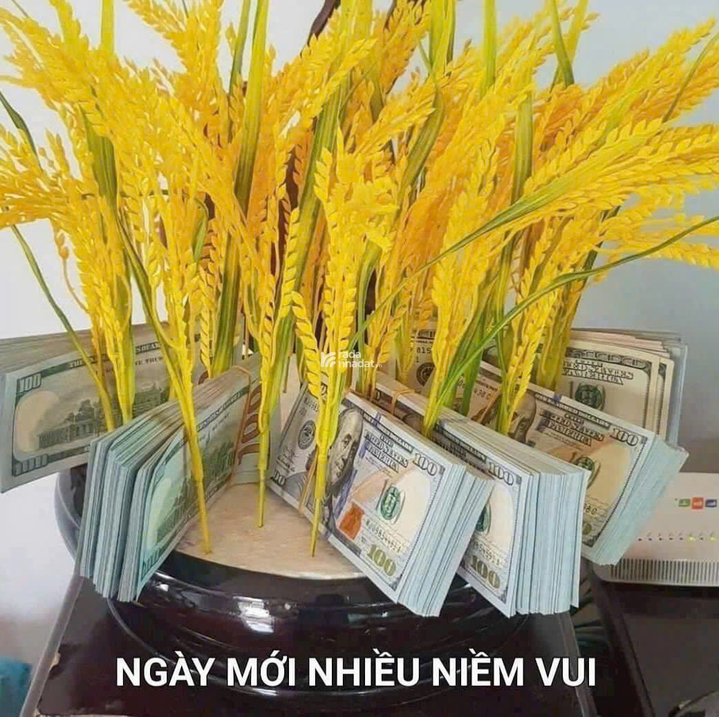 Hiếm nhà đẹp pmawtj tiền đường số 79 tân quy quận 7