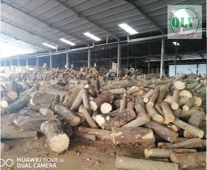 CHO THUÊ NHÀ XƯỞNG TÂN PHÚ,  ĐỒNG PHÚ, BP 14.000m2 