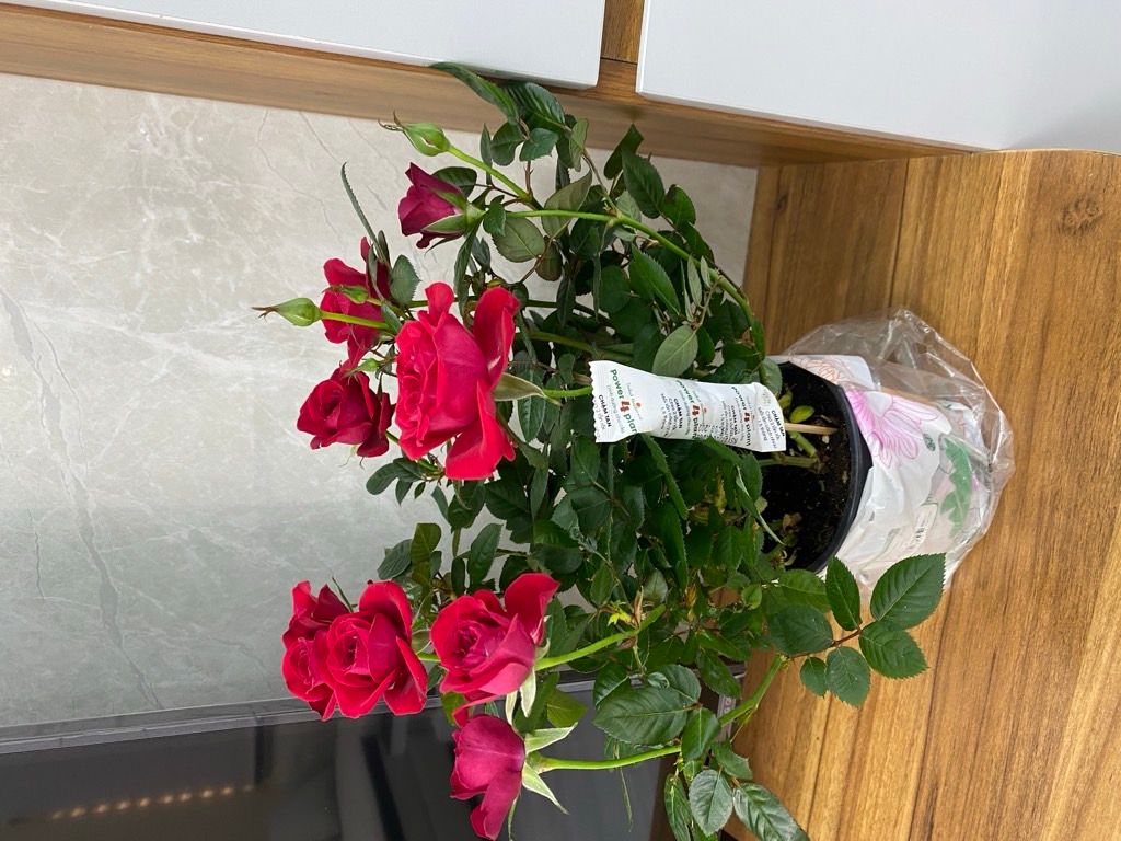 NHÀ MỚI ĐẸP 6 TẦNG  -SÁT MẶT TIỀN NGUYỄN THỊ KIỂU -TÂN THỚI HIỆP QUẬN 12- GÍA 9 TỶ