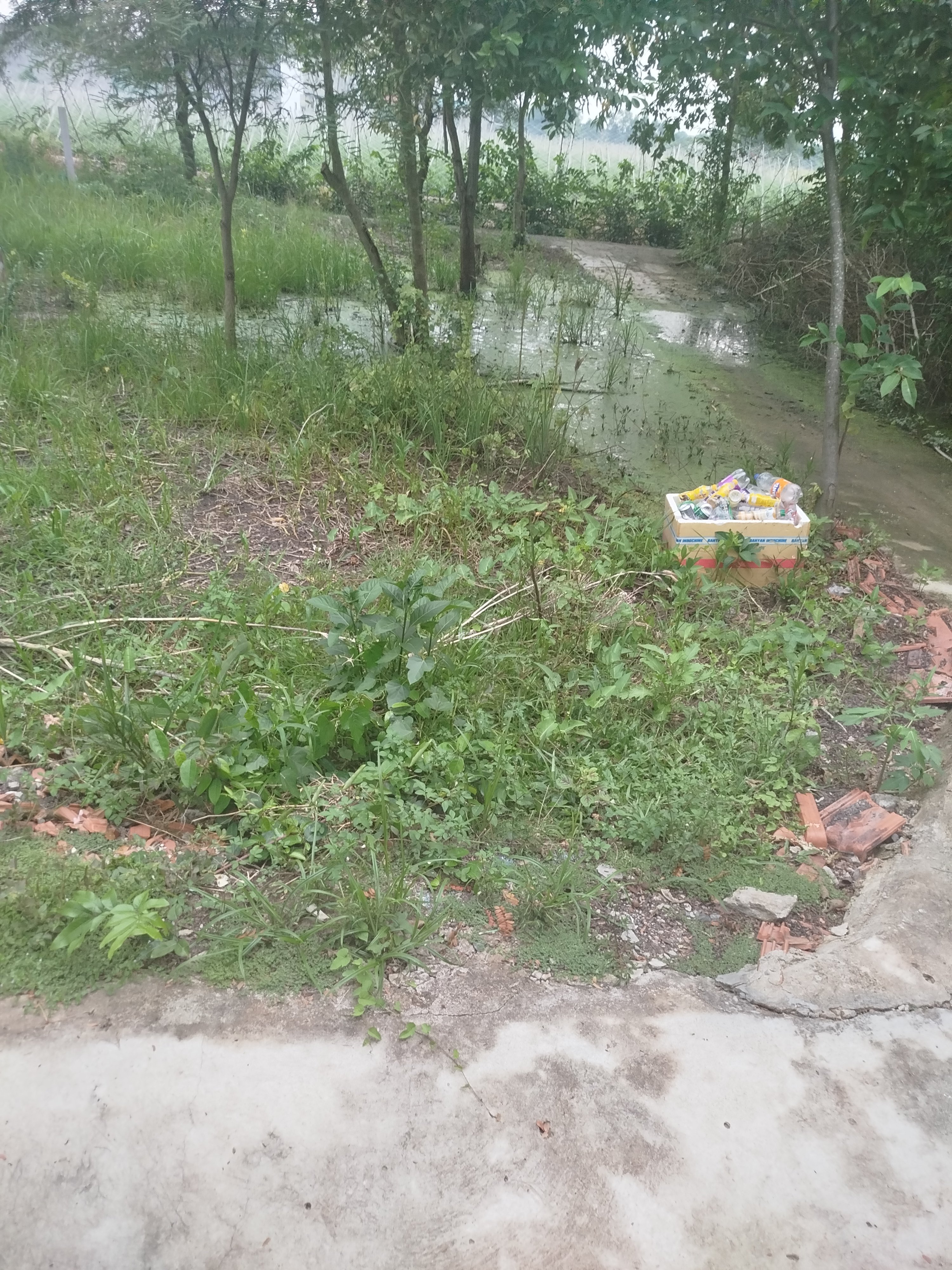 Cần bán đất ở cần giuộc tây ninh (long an cũ) 