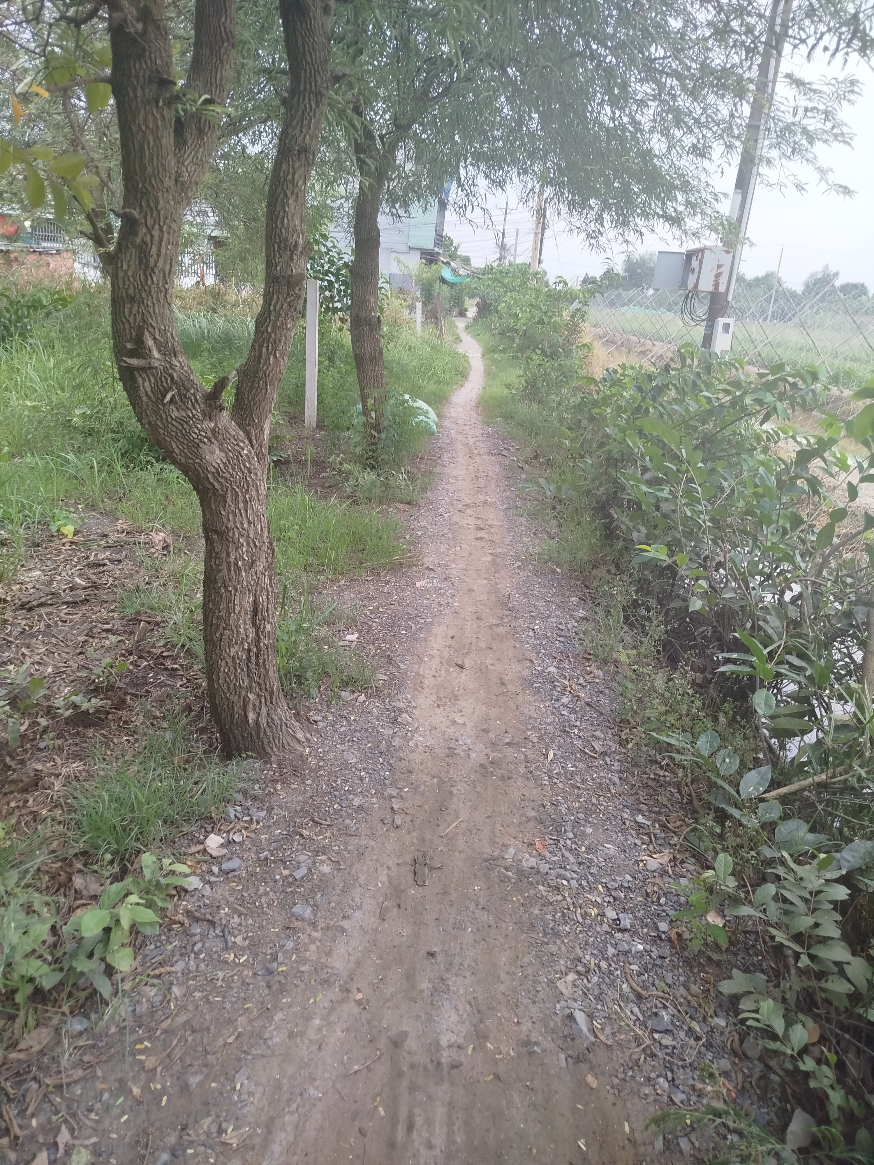 Cần bán đất ở cần giuộc tây ninh (long an cũ) 