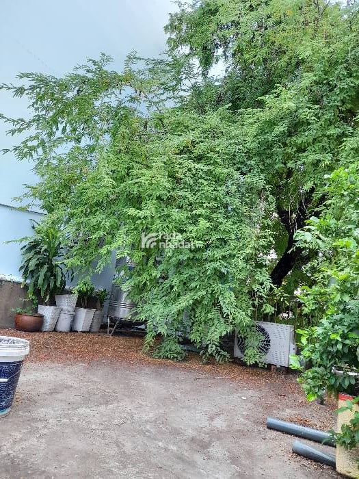BÁN NHÀ MẶT TIỀN NGUYỄN PHẠM TUÂN QUẬN 6 CĂN ĐÔI 150M2 3 TẦNG GIÁ 12 TỶ KHU CÂY GÕ SẦM UẤT