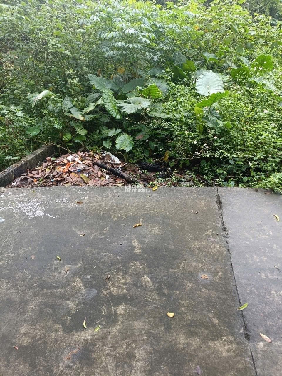 CHỈ GẦN 1,5 TỶ – SỞ HỮU NGAY LÔ ĐẤT 97,5M2 TẠI XÃ XUÂN MAI!