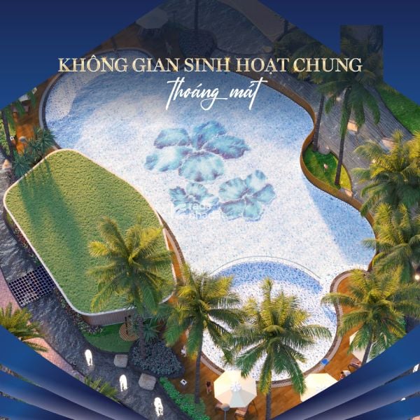 CĂN HÔ 2PN GIA CHI 3,9 TY, TÂN HƯƠNG HÊ SINH THAI VINGROUP