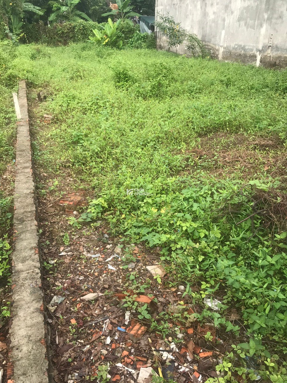 'Chính chủ Cần bán thửa đất, 10 m mặt tiền: 23b, Đ Linh Đông, P. Hiệp Bình, HCM