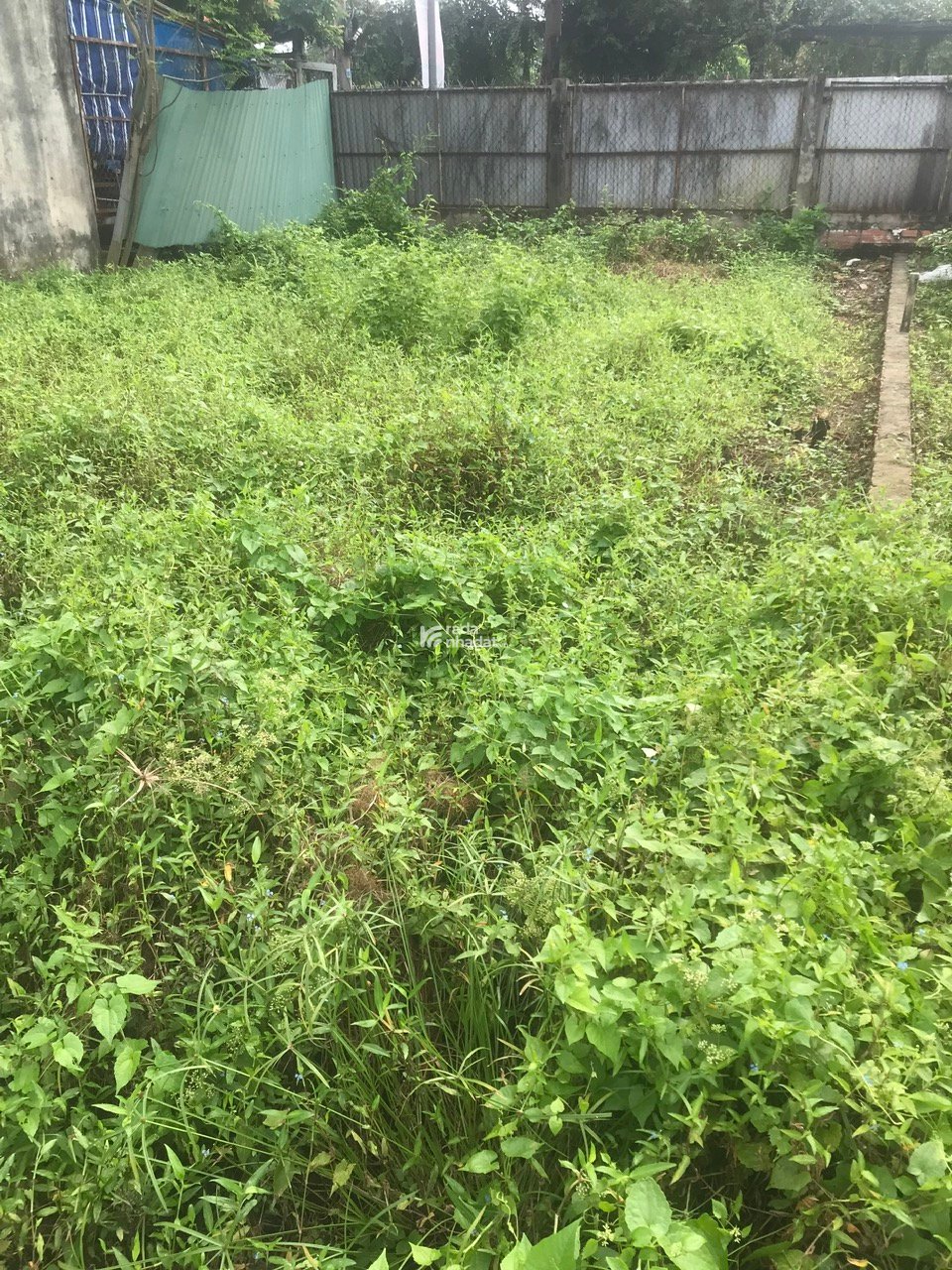 'Chính chủ Cần bán thửa đất, 10 m mặt tiền: 23b, Đ Linh Đông, P. Hiệp Bình, HCM