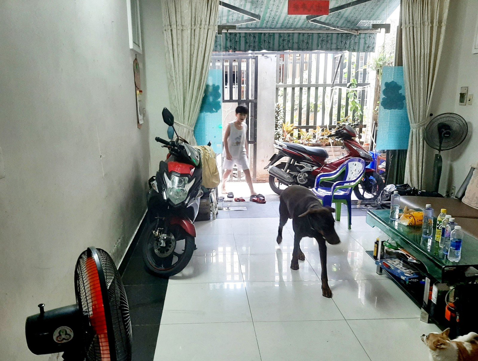 Nhà đẹp bán gấp 5 lầu, hẻm ô tô, đường Phú Thọ Hòa, P. Phú Thọ Hòa, Tân Phú, chỉ 8 tỷ TL