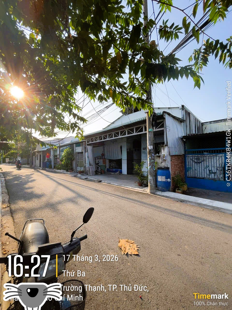 NHÀ MẶT TIỀN VUÔNG VẮN - 2 DÃY TRỌ - NGANG 8M HIẾM - DÒNG TIỀN 16TR/TH - GIẢM CÒN 8.1 TỶ