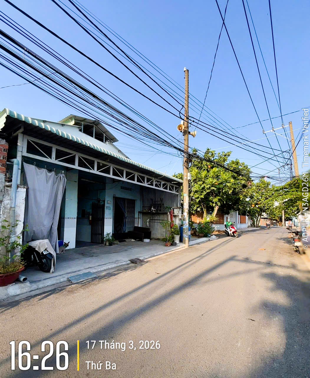 NHÀ MẶT TIỀN VUÔNG VẮN - 2 DÃY TRỌ - NGANG 8M HIẾM - DÒNG TIỀN 16TR/TH - GIẢM CÒN 8.1 TỶ