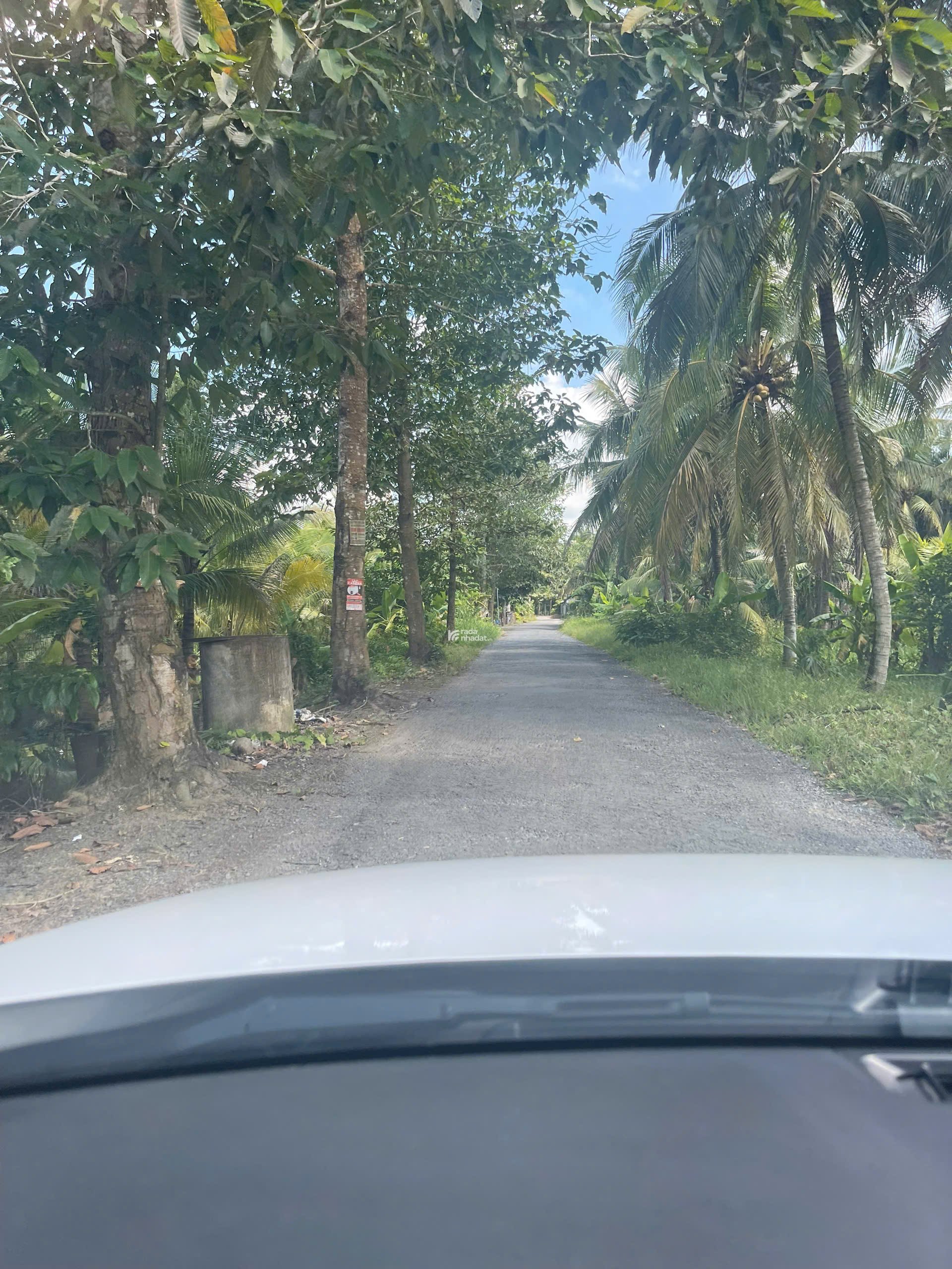 ĐẤT VƯỜN DỪA 1500 M2 ĐANG THU HOẠCH (CÓ 200 M2 THỎ CƯ), LỘ NHỰA 5 TẤN