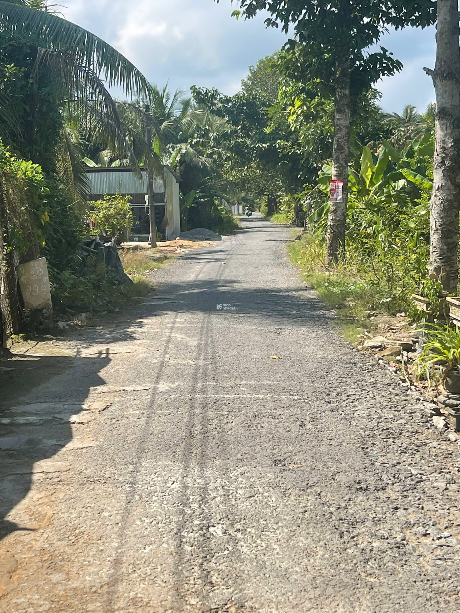 ĐẤT VƯỜN DỪA 1500 M2 ĐANG THU HOẠCH (CÓ 200 M2 THỎ CƯ), LỘ NHỰA 5 TẤN