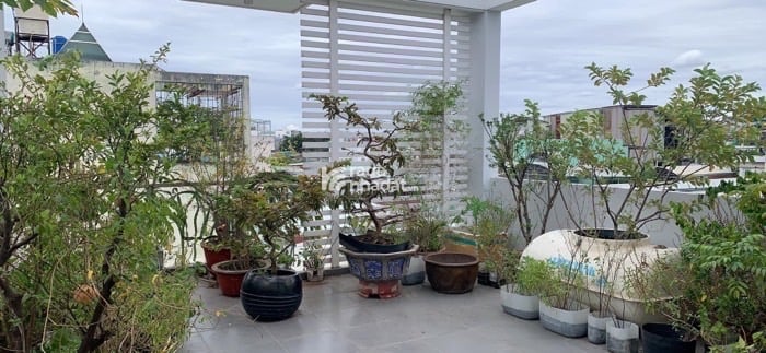 CHỦ NHÀ GIẢM GIÁ CẦN BÁN GẤP NHÀ 1 TRỆT 2 LẦU -ST - NGANG 5M - 59M2-TẶNG NỘI THẤT 