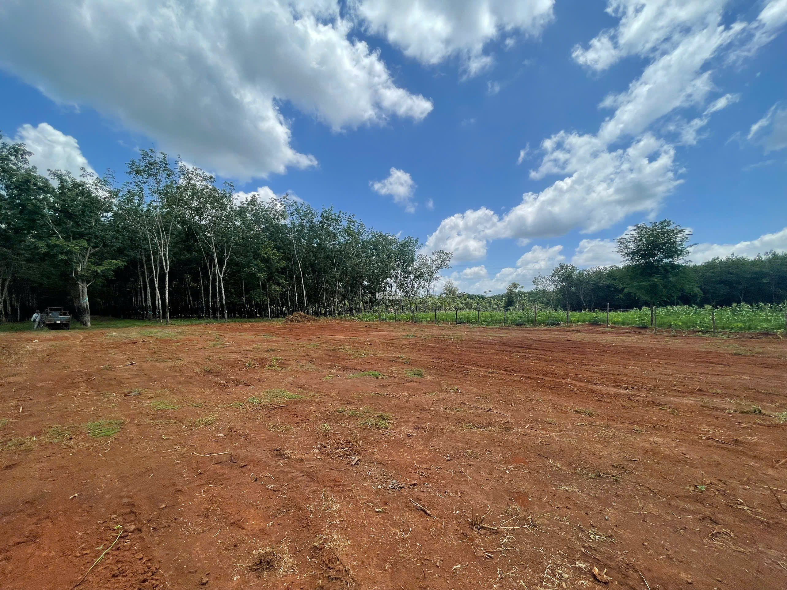 Đất đẹp Long Hà - Phú Riềng mặt tiền đường 18m