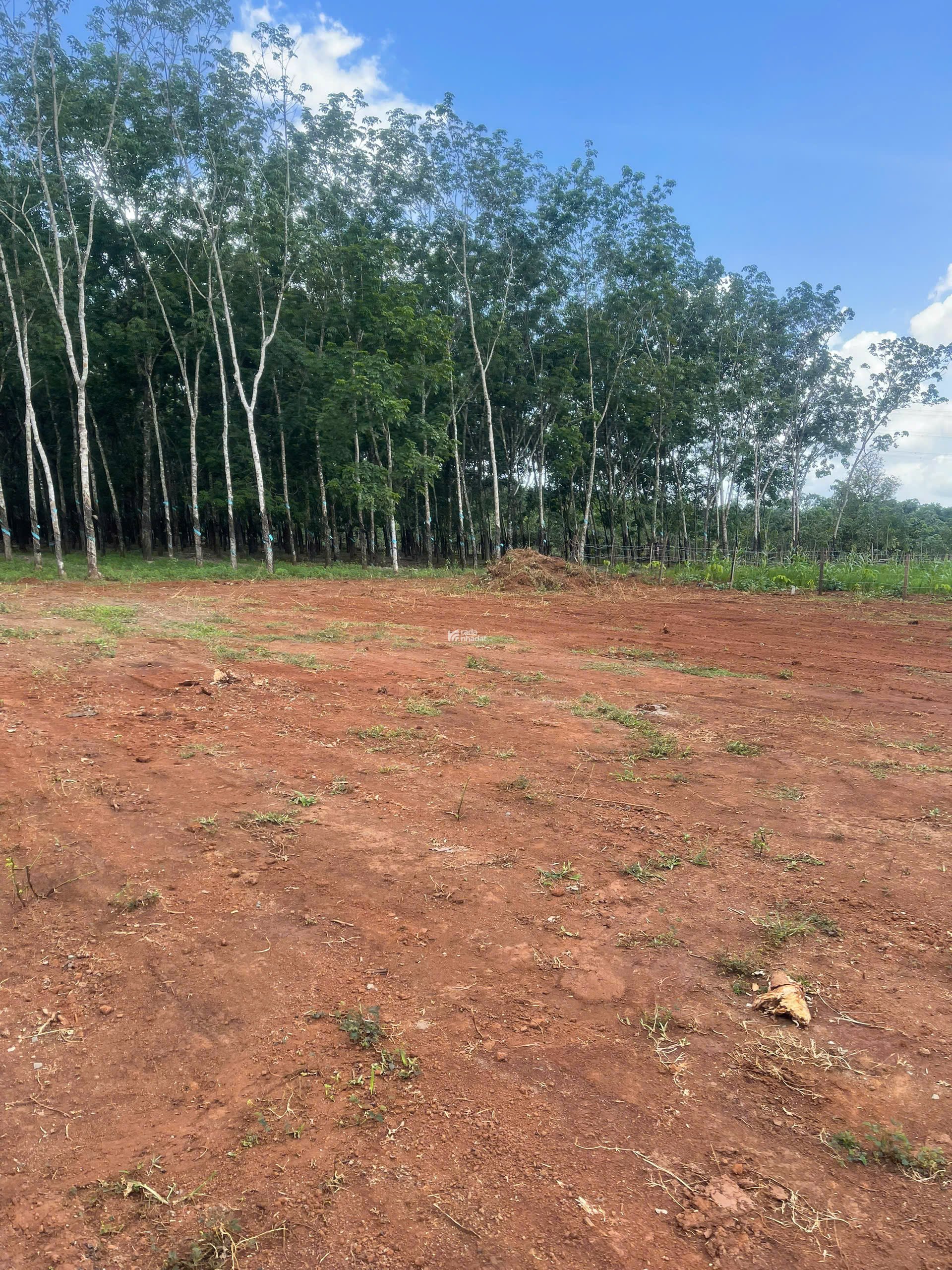 Đất đẹp Long Hà - Phú Riềng mặt tiền đường 18m