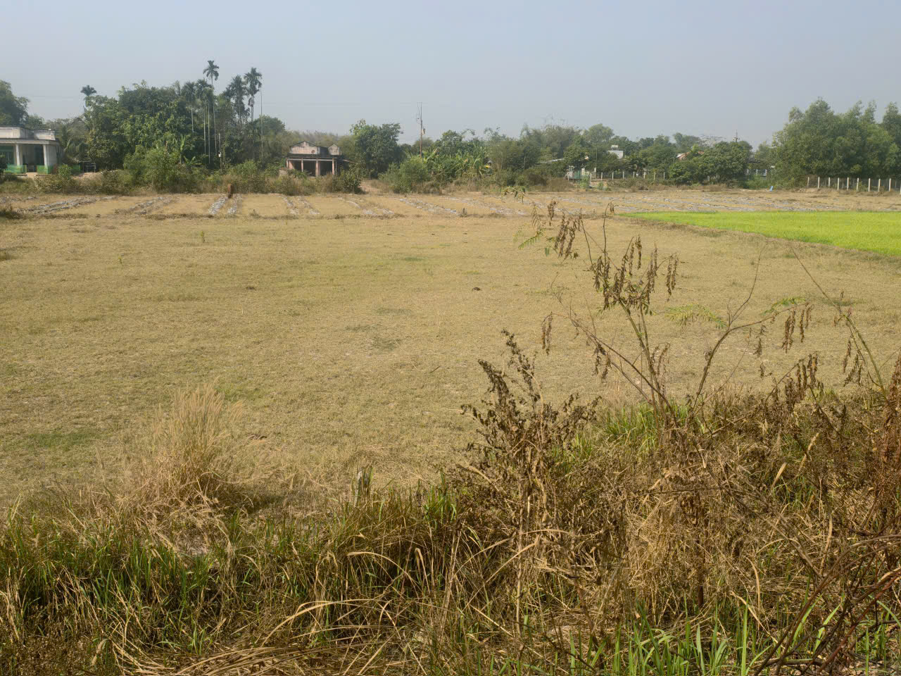 500 m2 thổ cư mặt tiền đường gần trung tâm hành chính mới Tây Ninh (Đức Hòa, Long An )