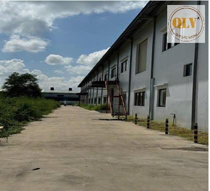 CHO THUÊ NHÀ XƯỞNG  GÒ DẦU, TÂY NINH  13.536m2