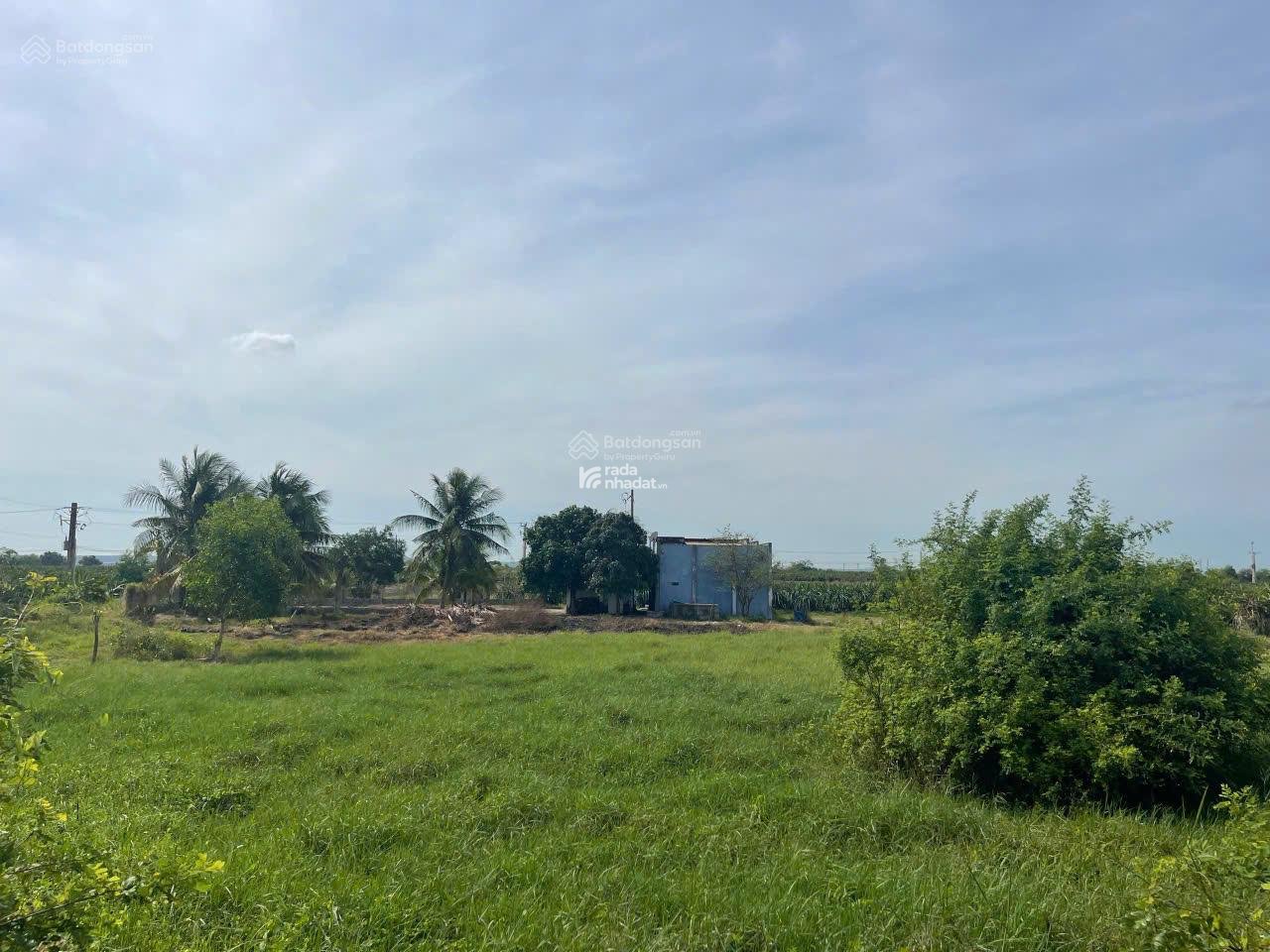 Bán gấp lô đất gần 10.000m2 tại Hàm Kiệm gần nút giao cao tốc xuống Novaword PT, sổ đỏ chính chủ